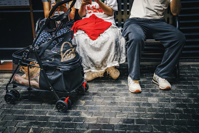 People and dog in a stroller waiting