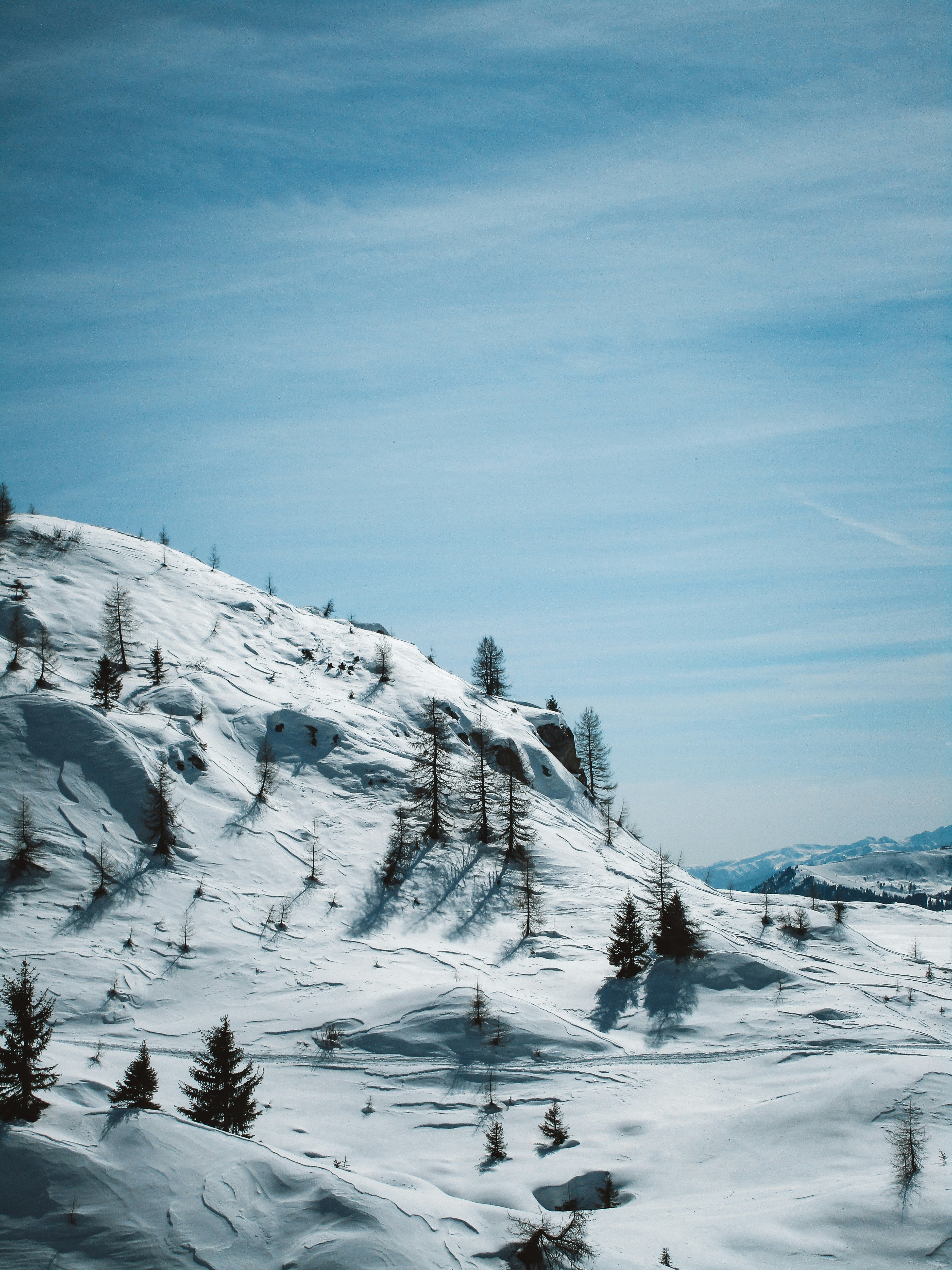 Photo by rizzardi_alex