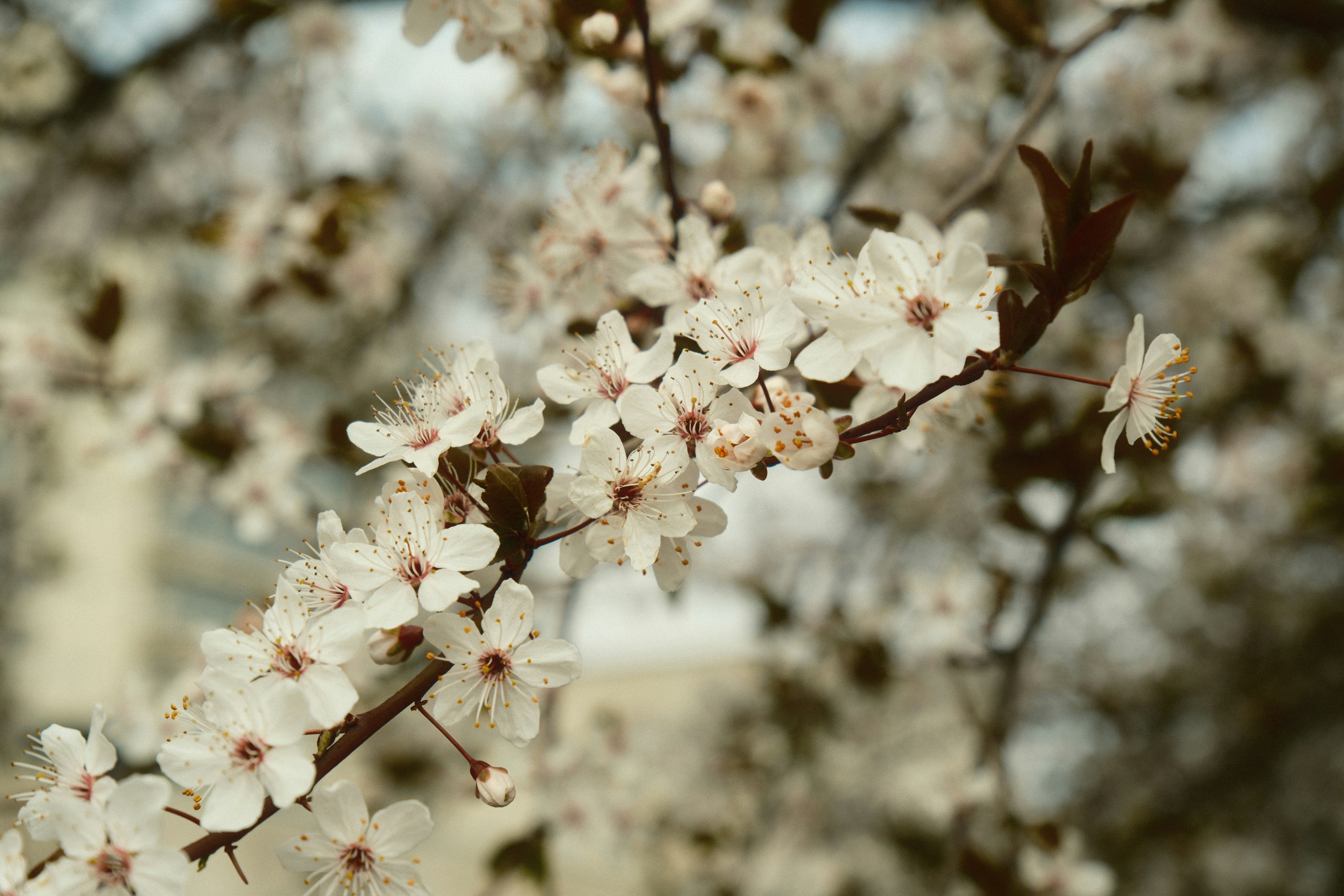 Photo by projectkeno