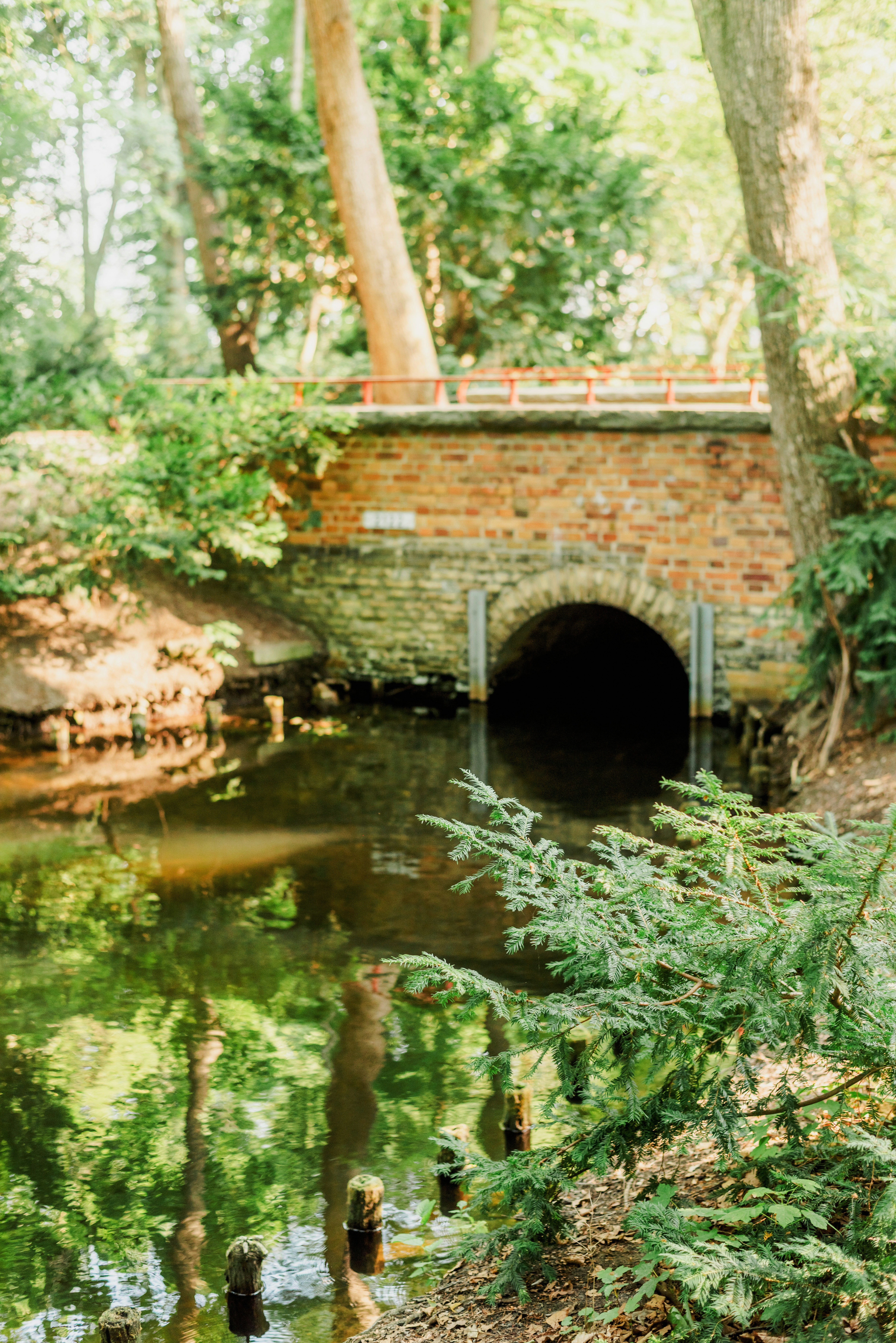 Photo by eugenivy_now