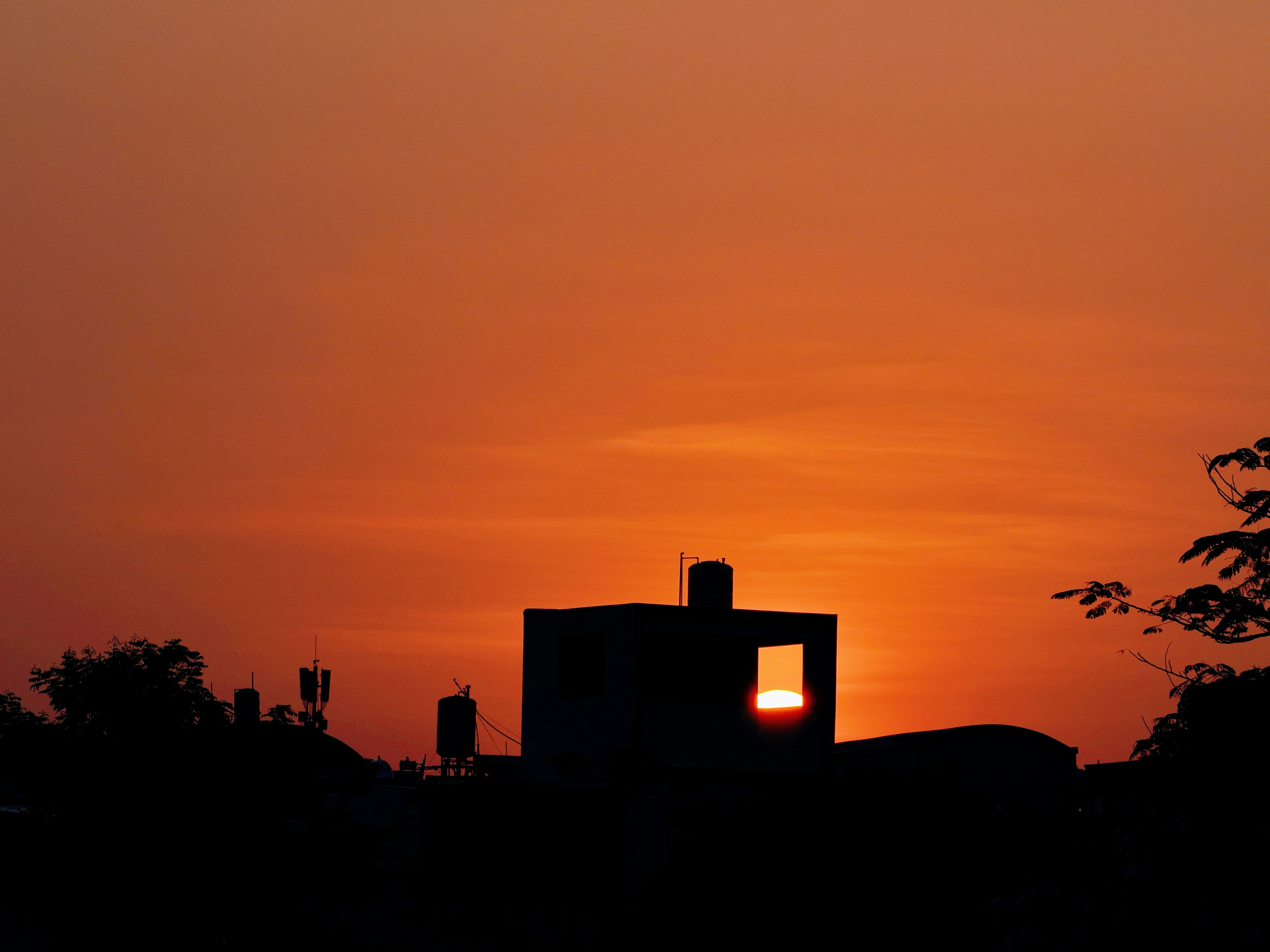 Photo by liliantruong2603