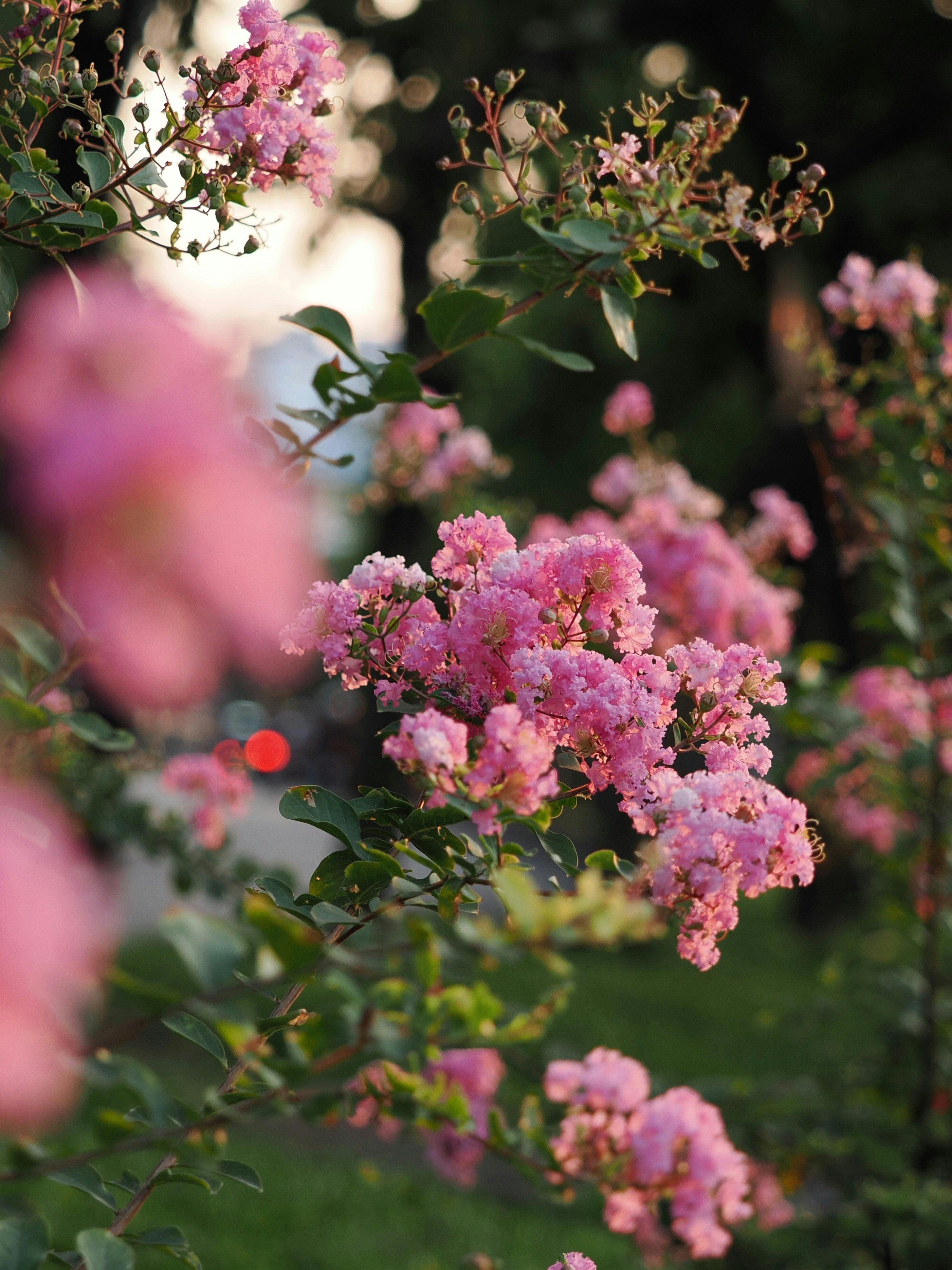 Photo by liliantruong2603