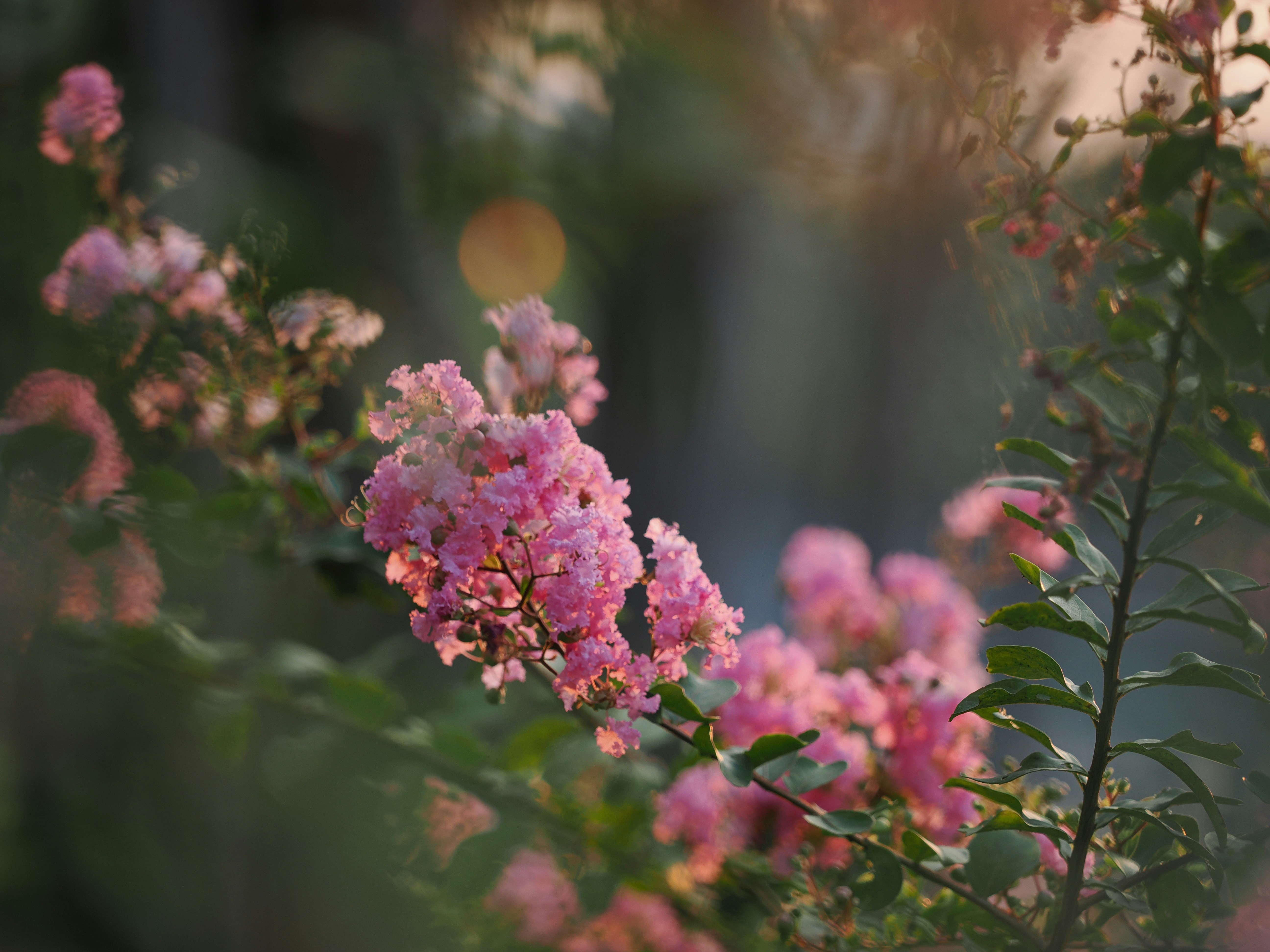 Photo by liliantruong2603