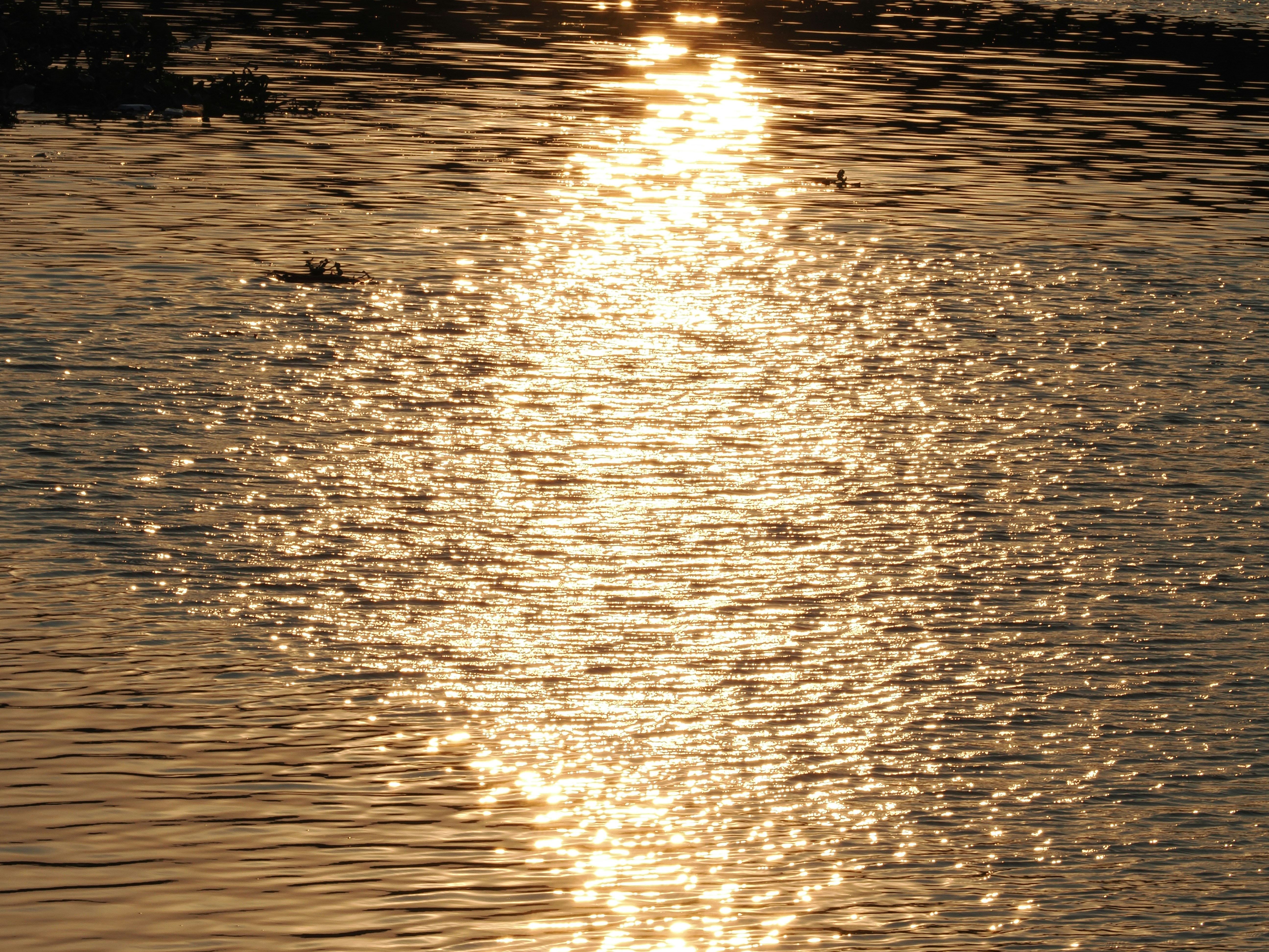 Photo by liliantruong2603