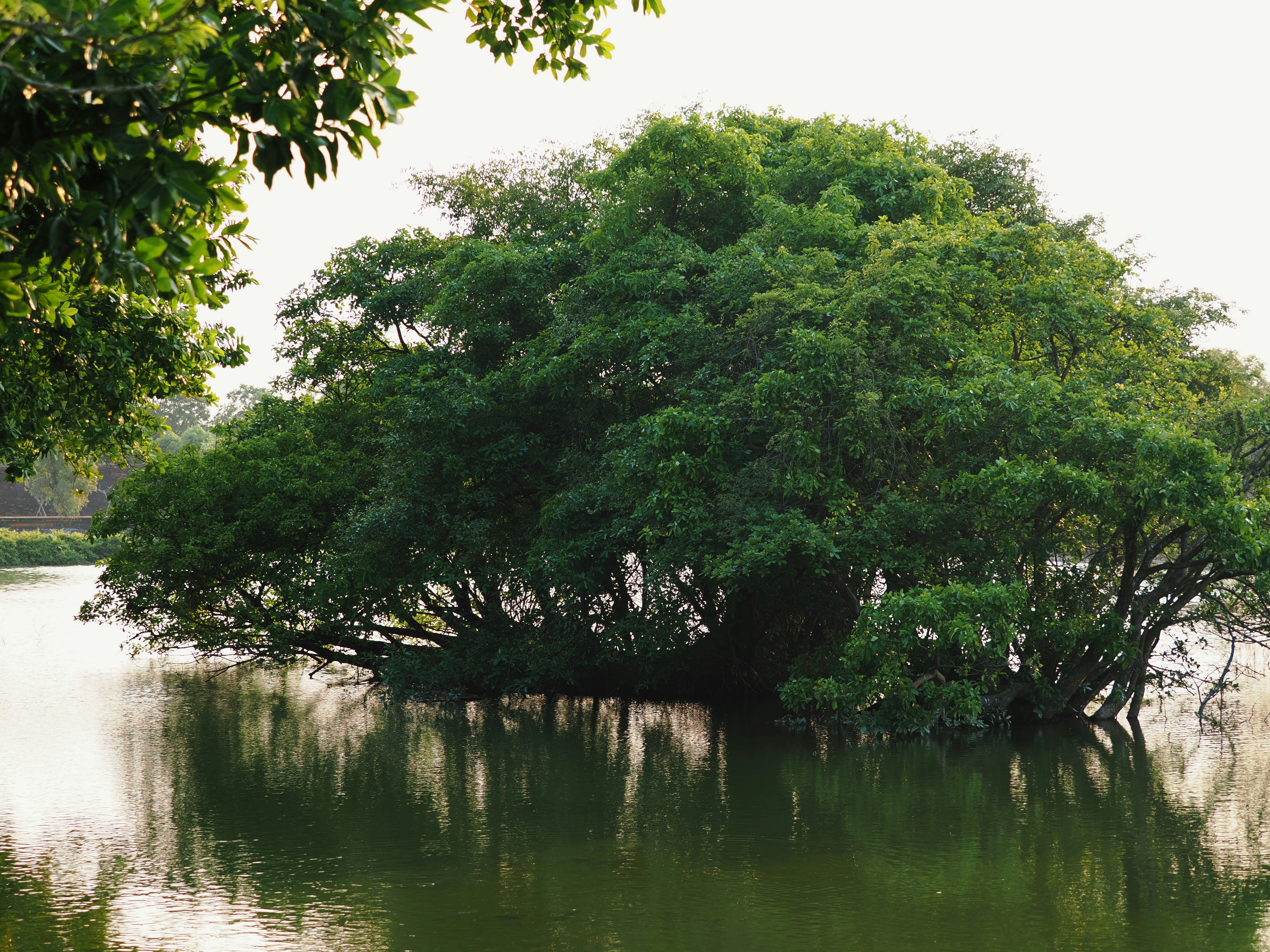 Photo by liliantruong2603