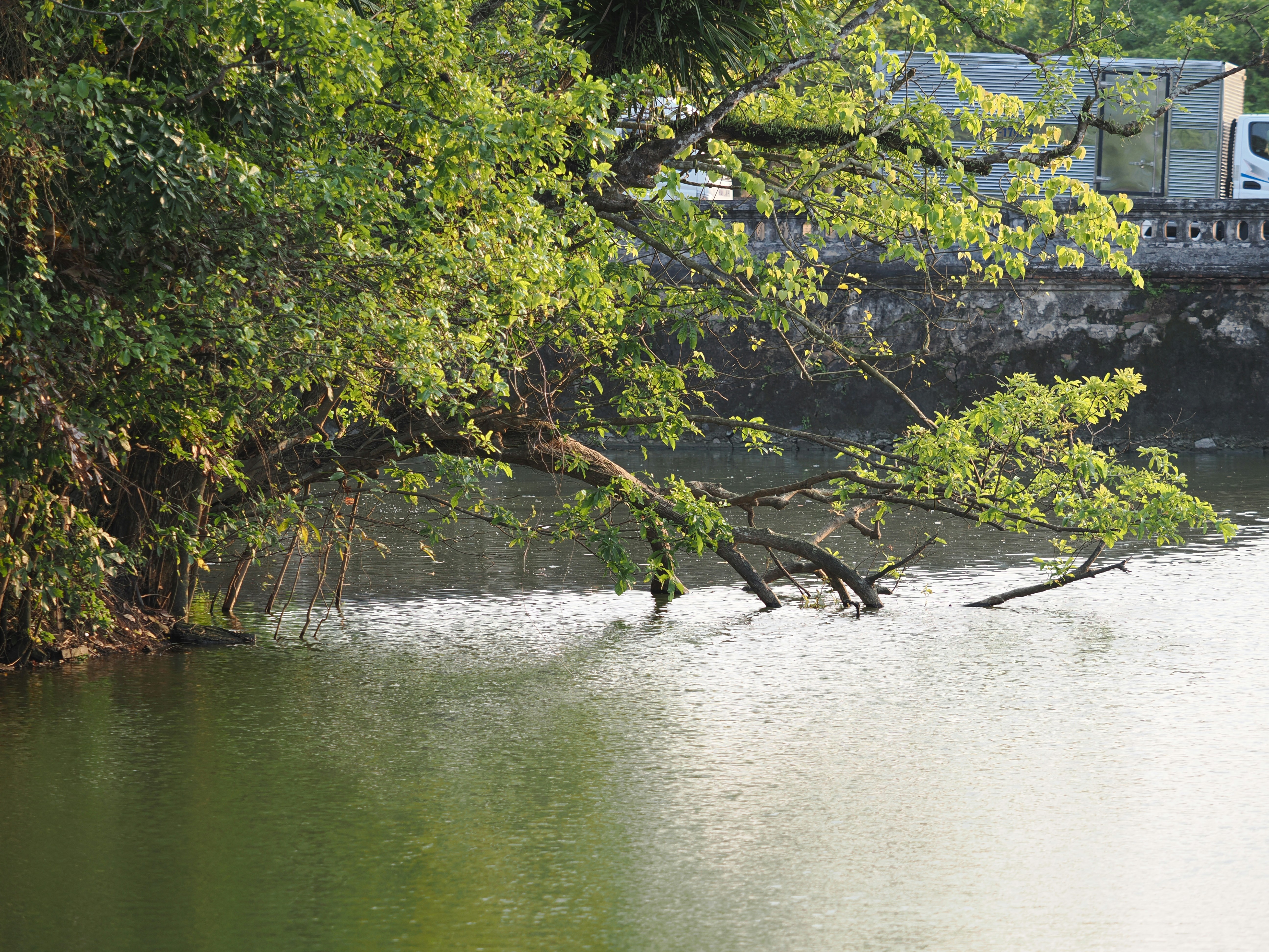 Photo by liliantruong2603