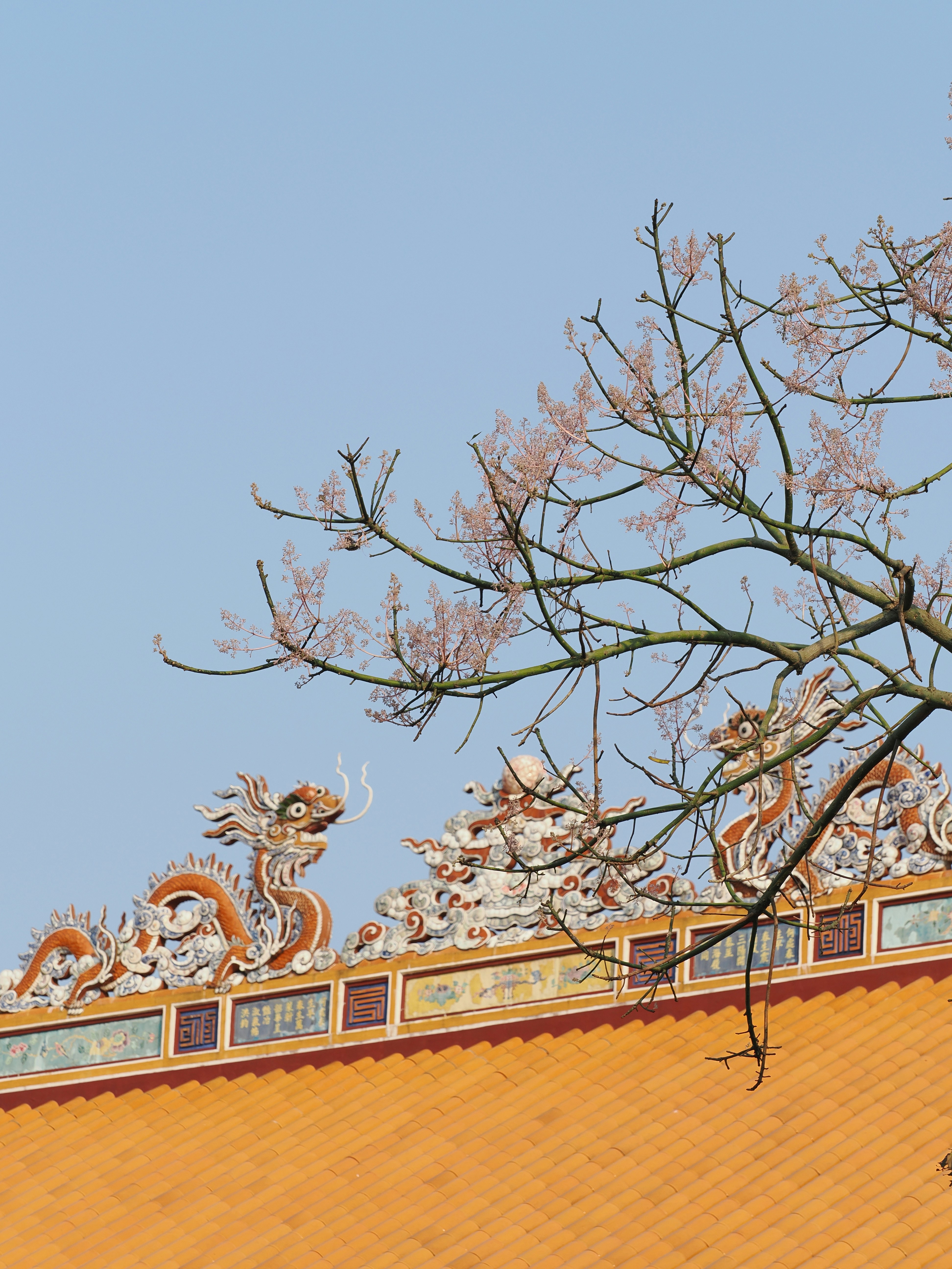 Photo by liliantruong2603