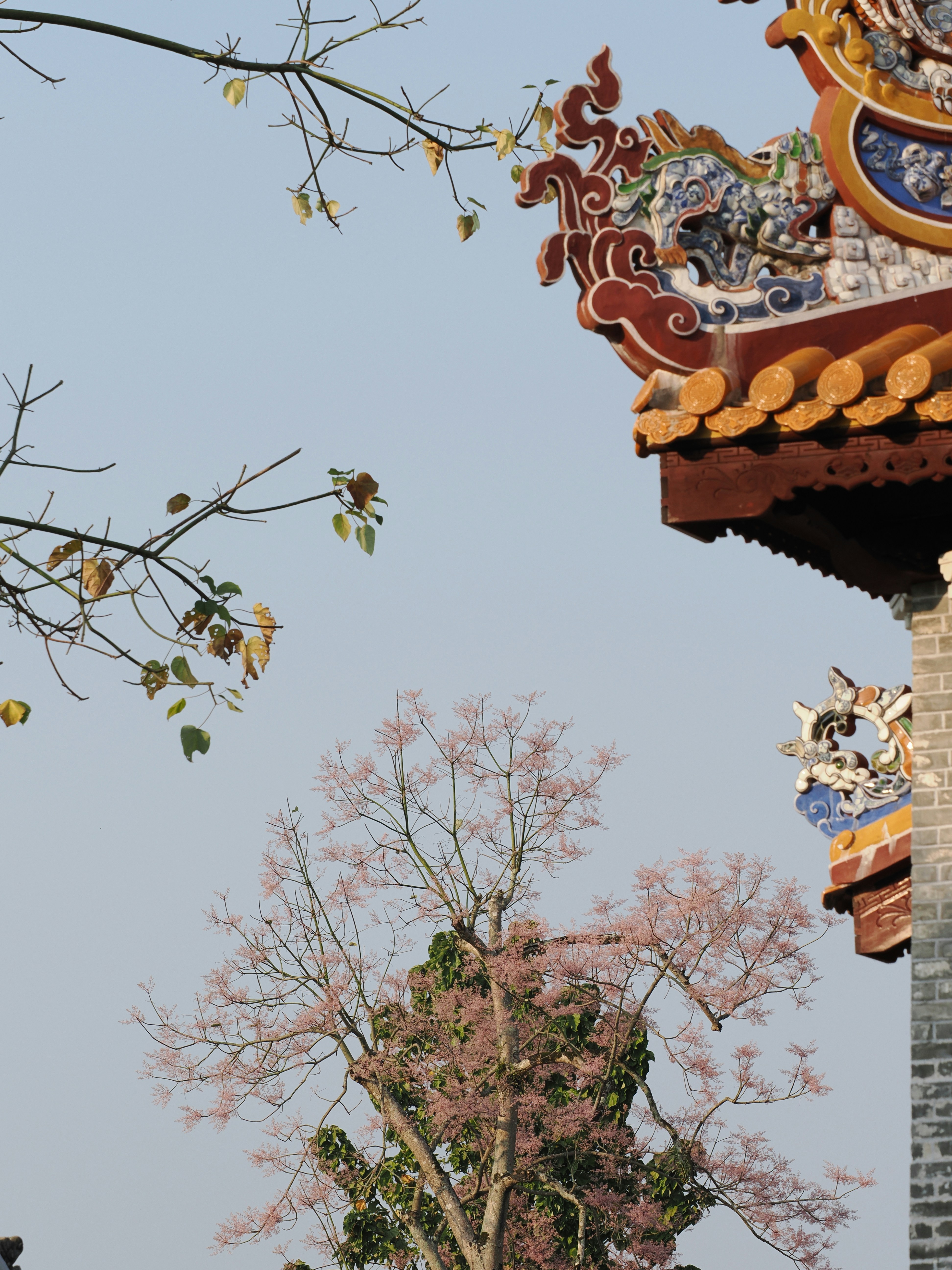 Photo by liliantruong2603