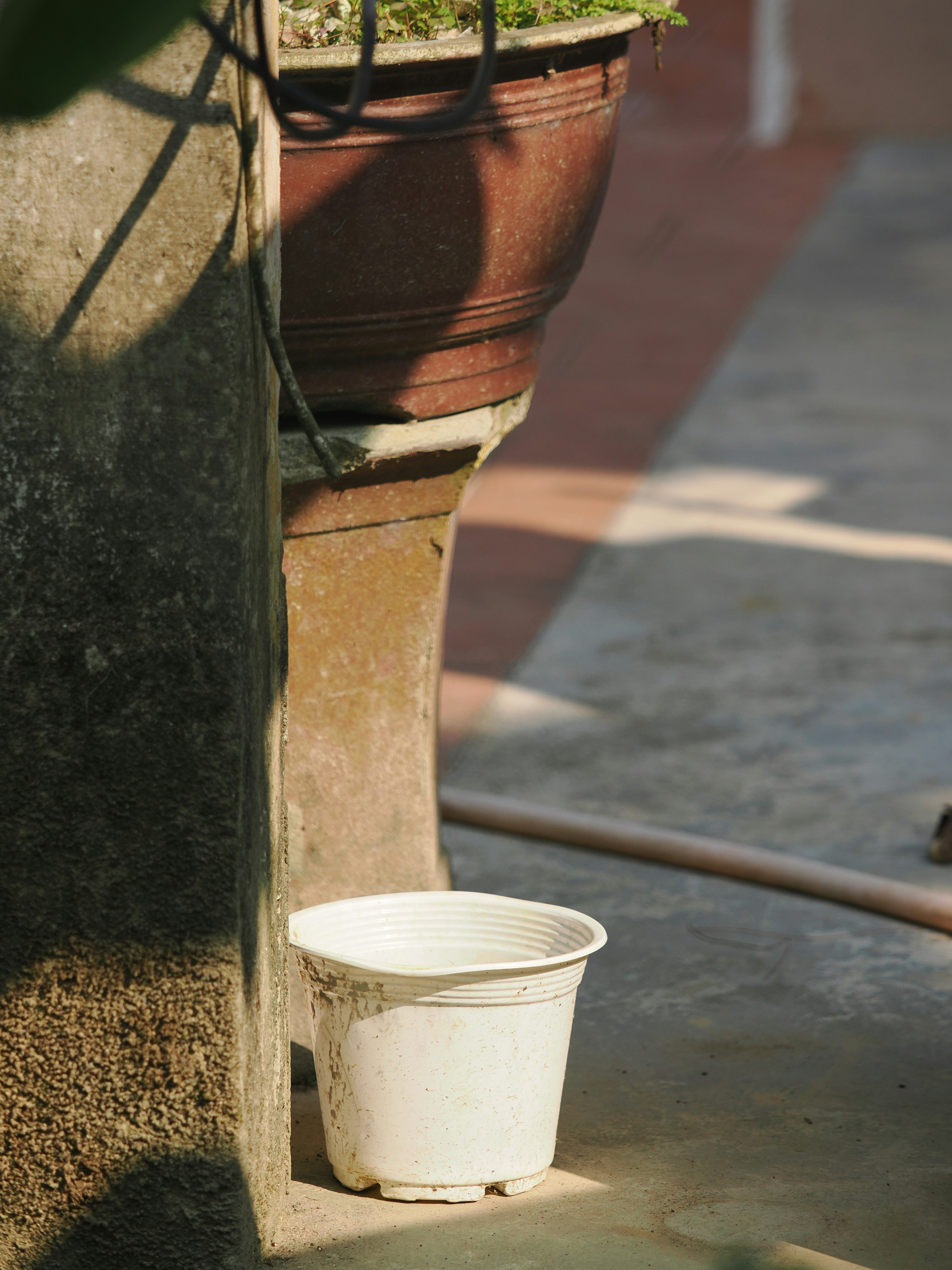 Un pot blanc vide repose au soleil sur le béton.