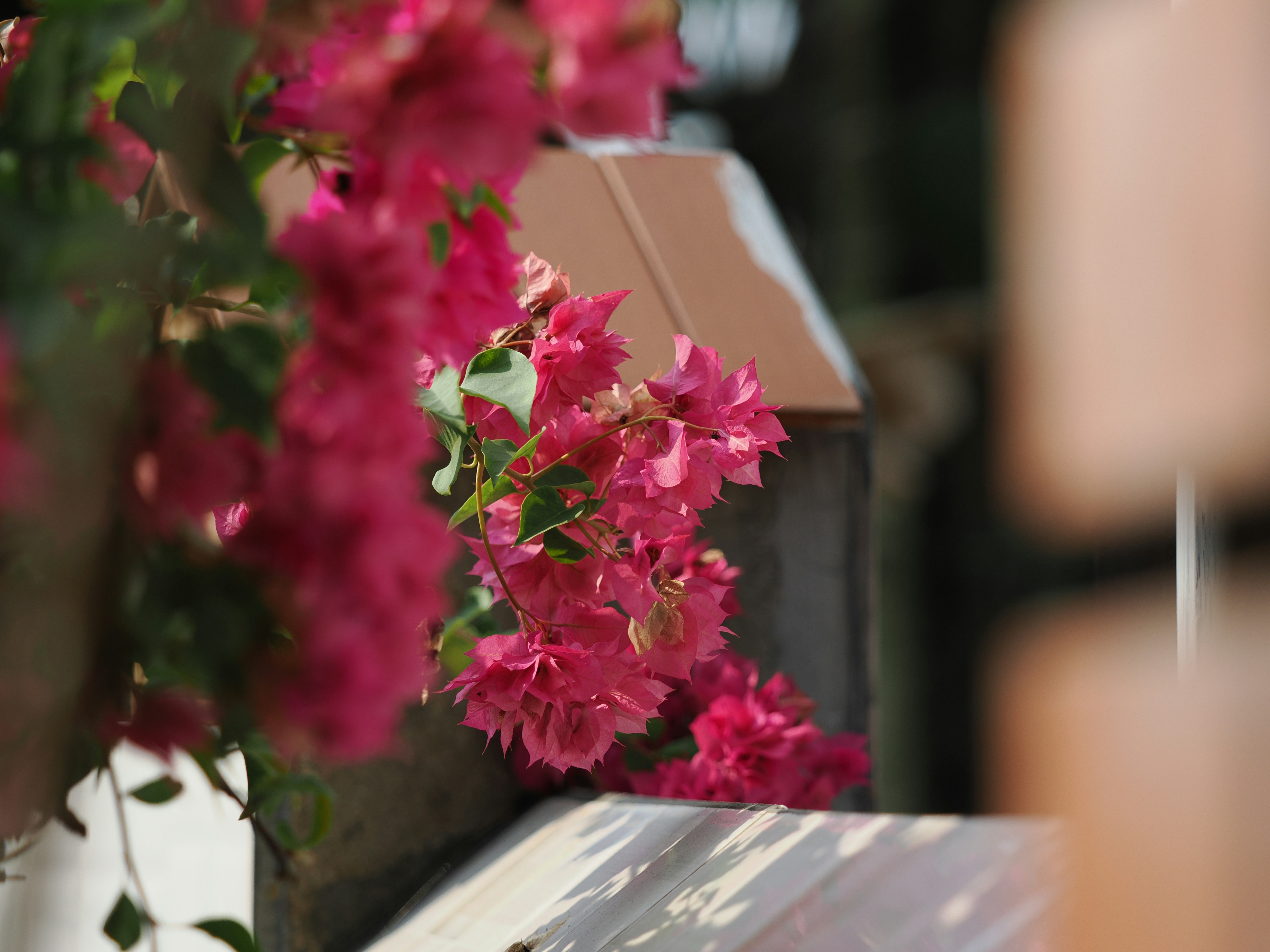 Photo by liliantruong2603