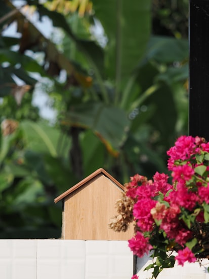 A clean, light-toned pitched-roof birdhouse against dense green foliage.