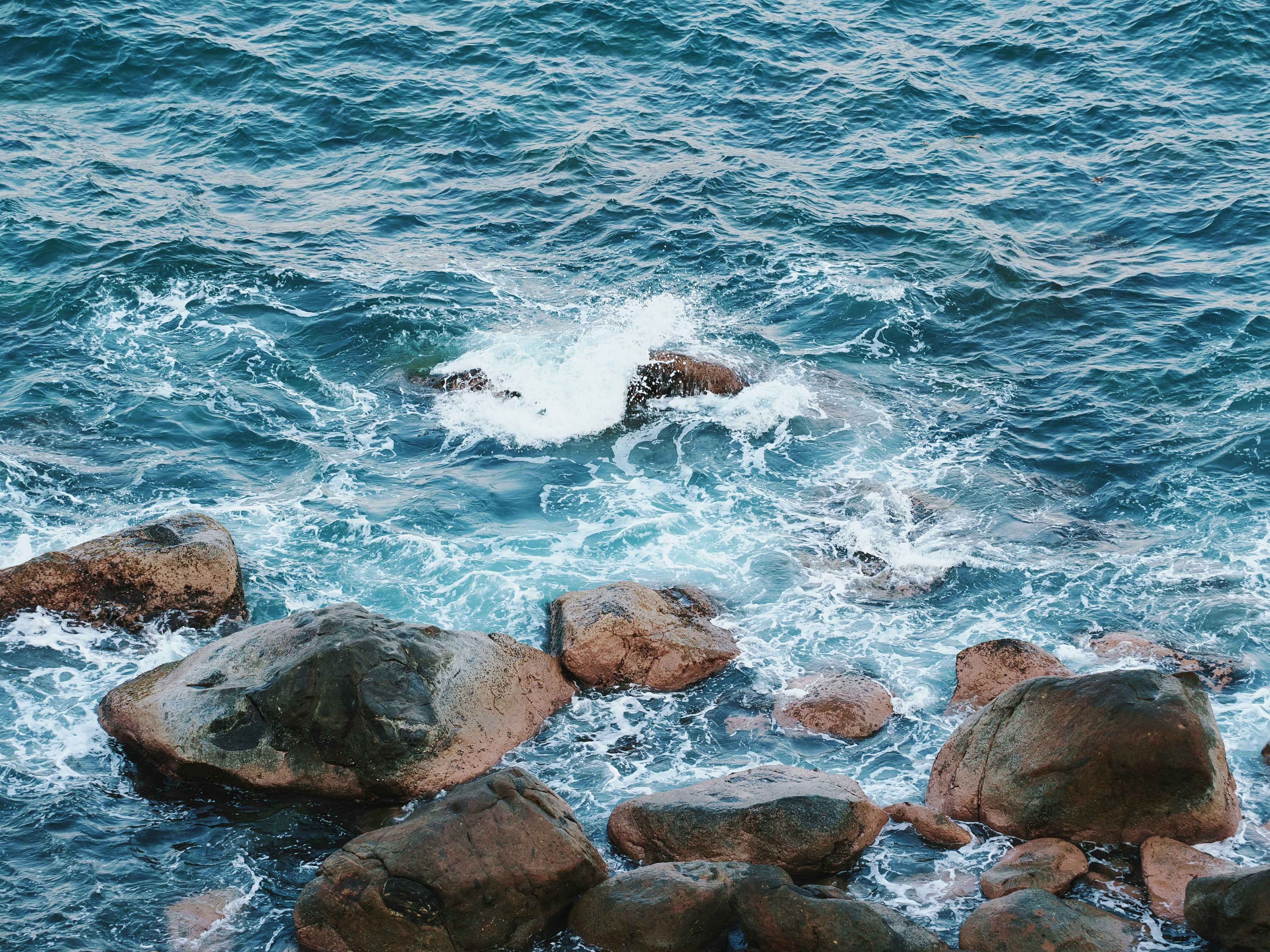 Photo by liliantruong2603