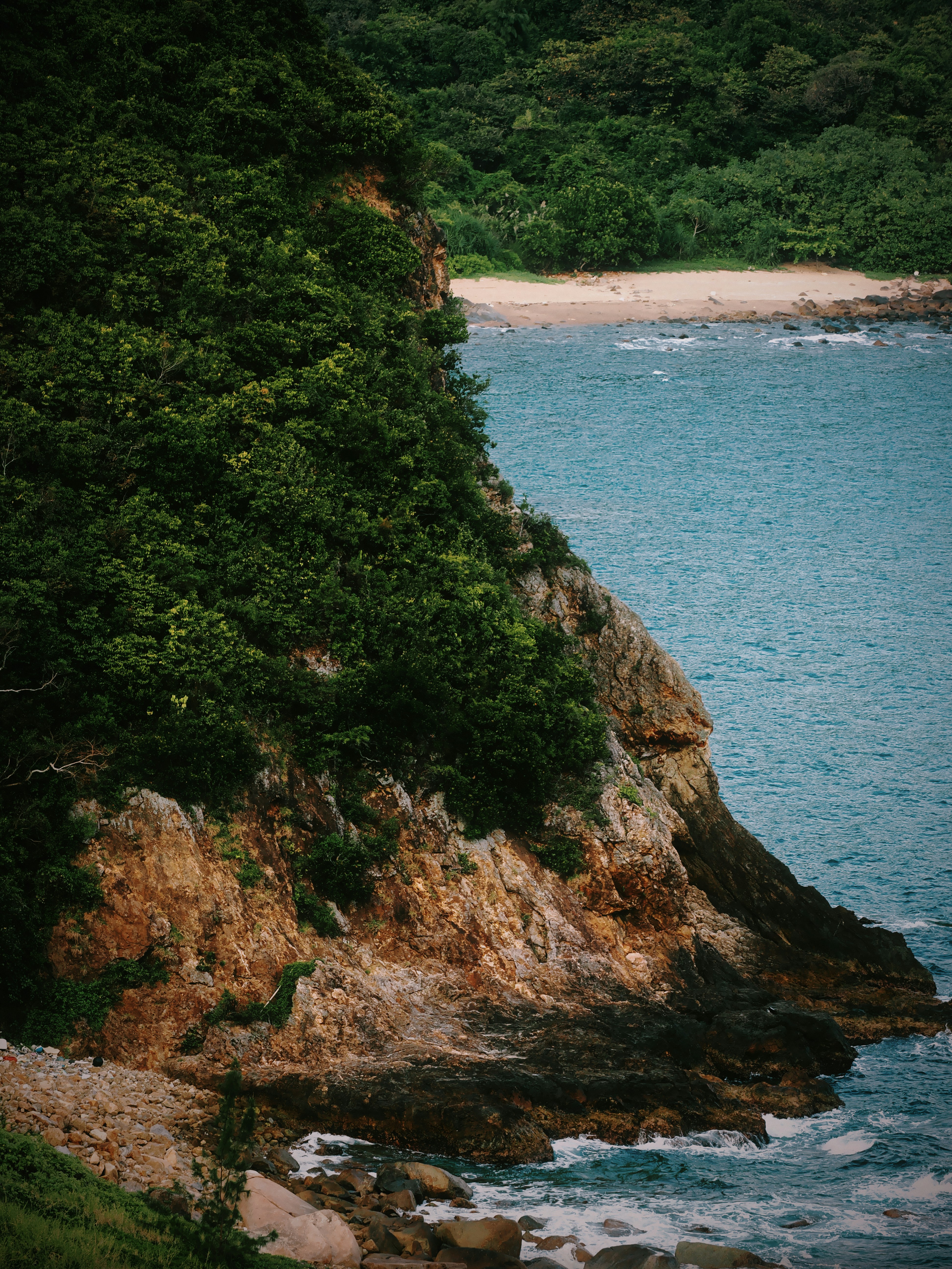 Photo by liliantruong2603