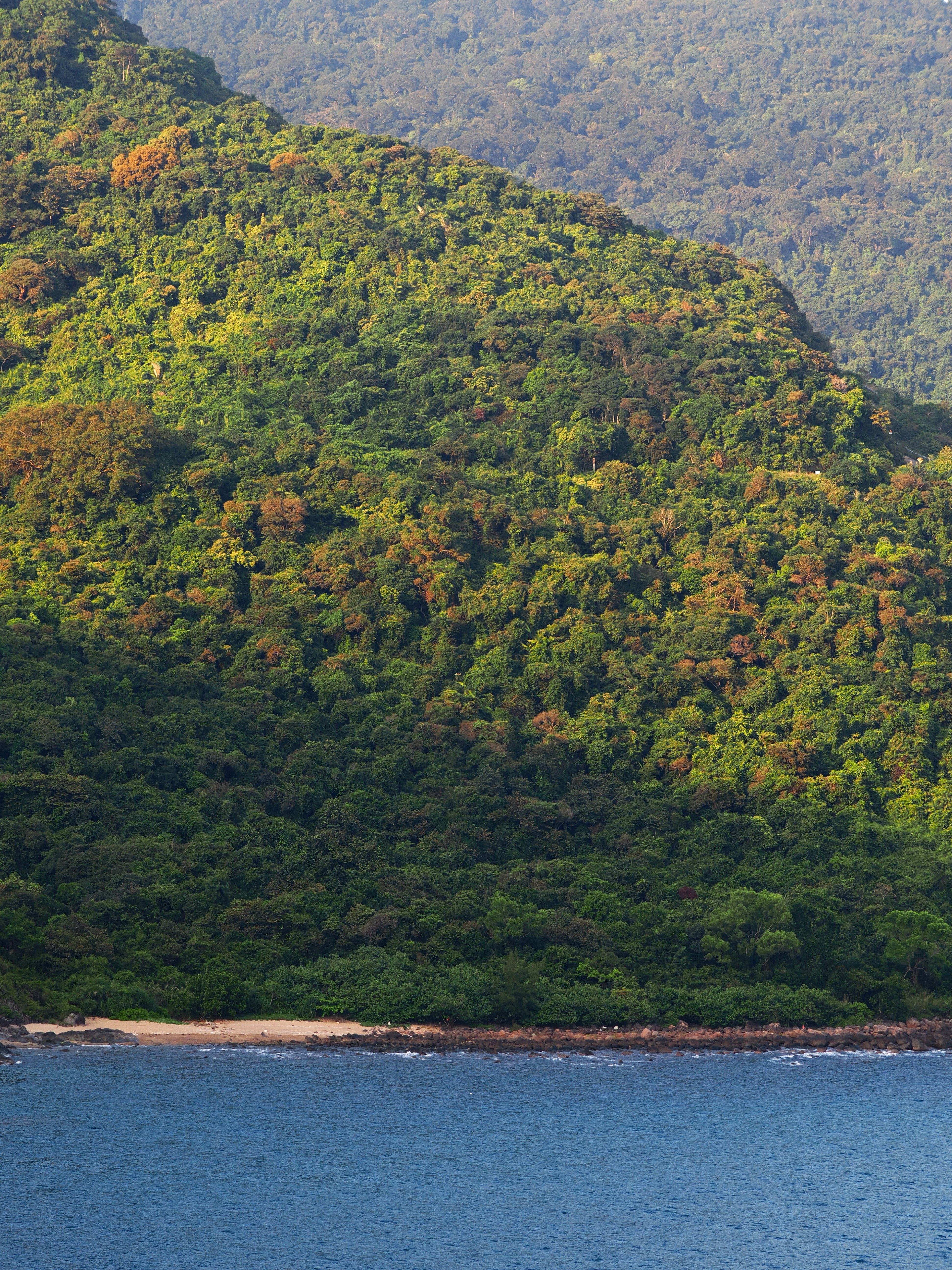 Photo by liliantruong2603