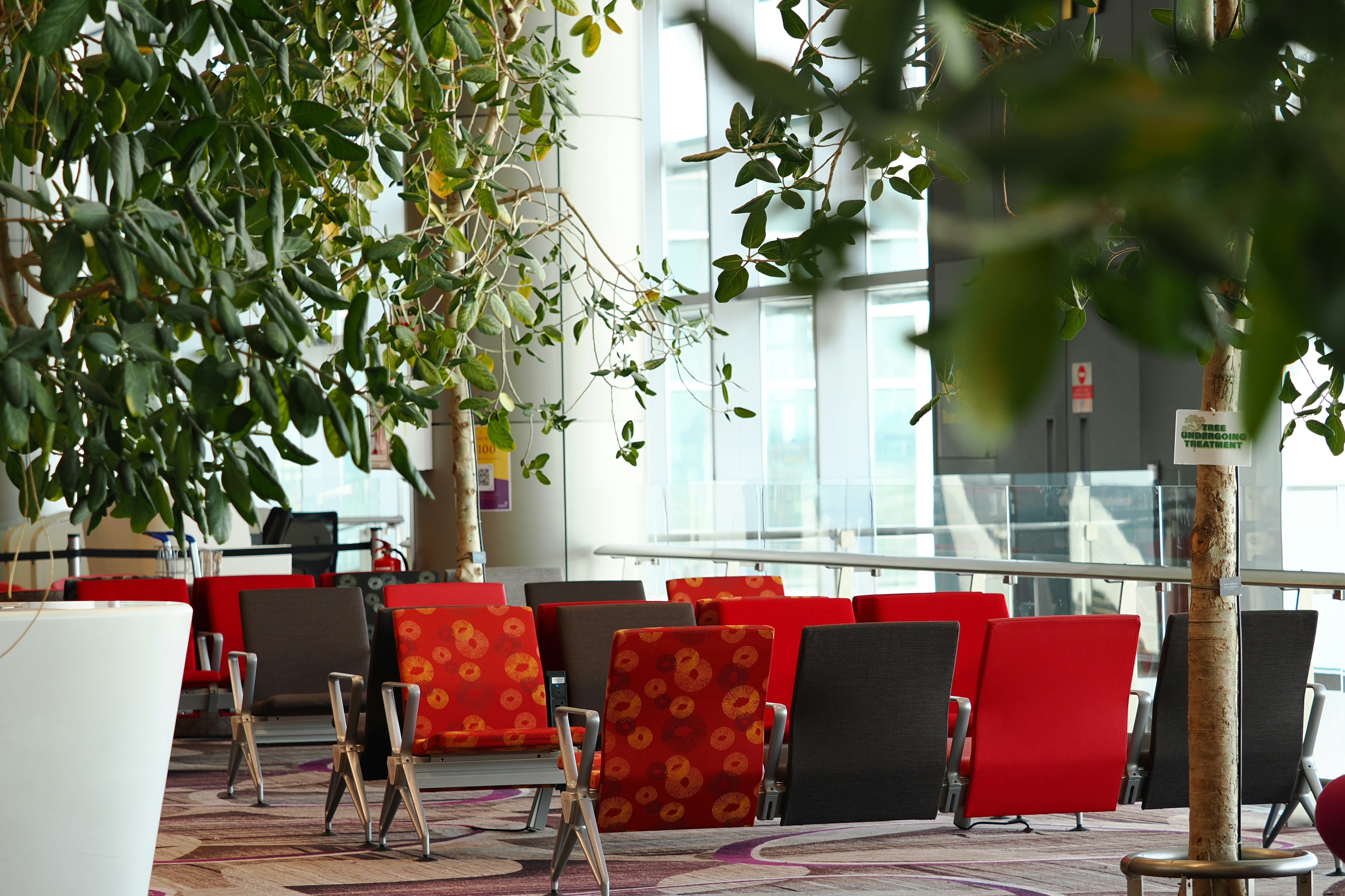 Photo by liliantruong2603