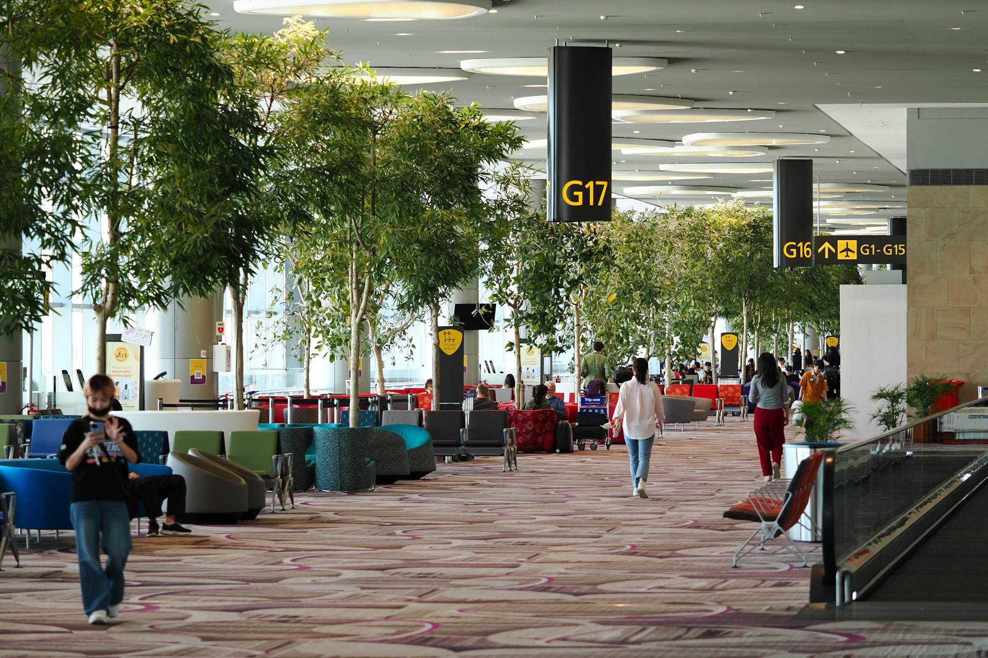 People walking through a modern airport terminal with trees.