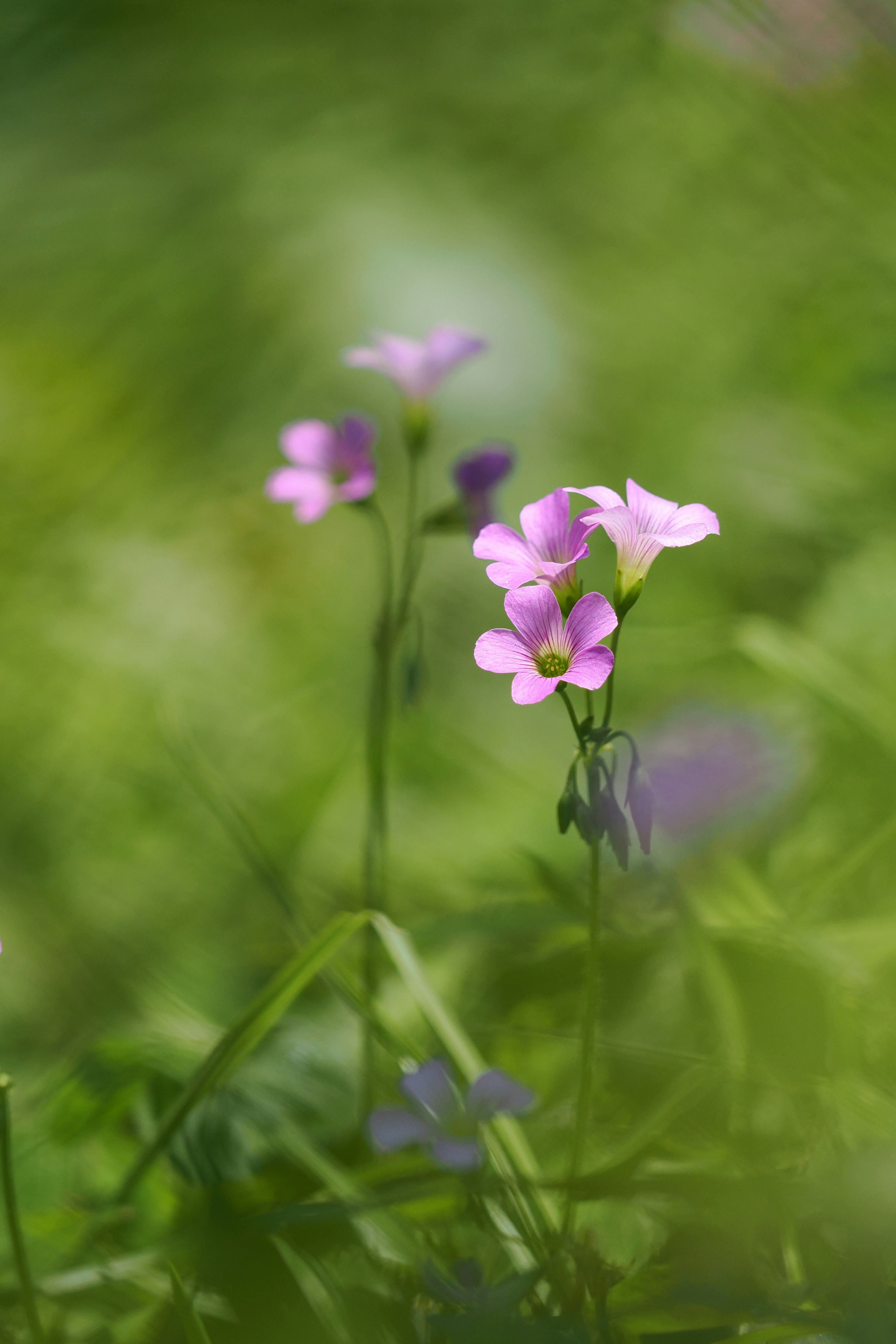 Photo by liliantruong2603