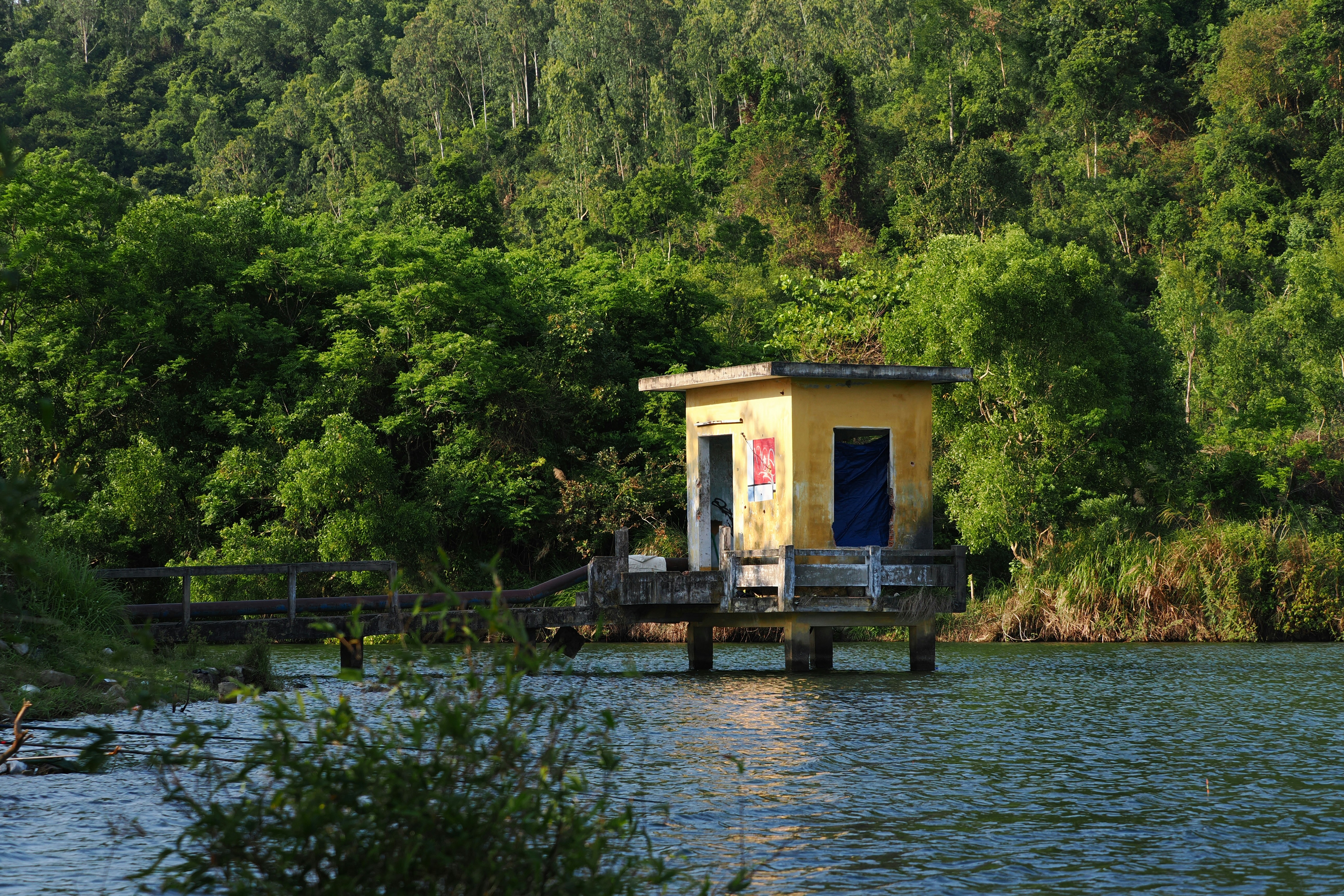 Photo by liliantruong2603