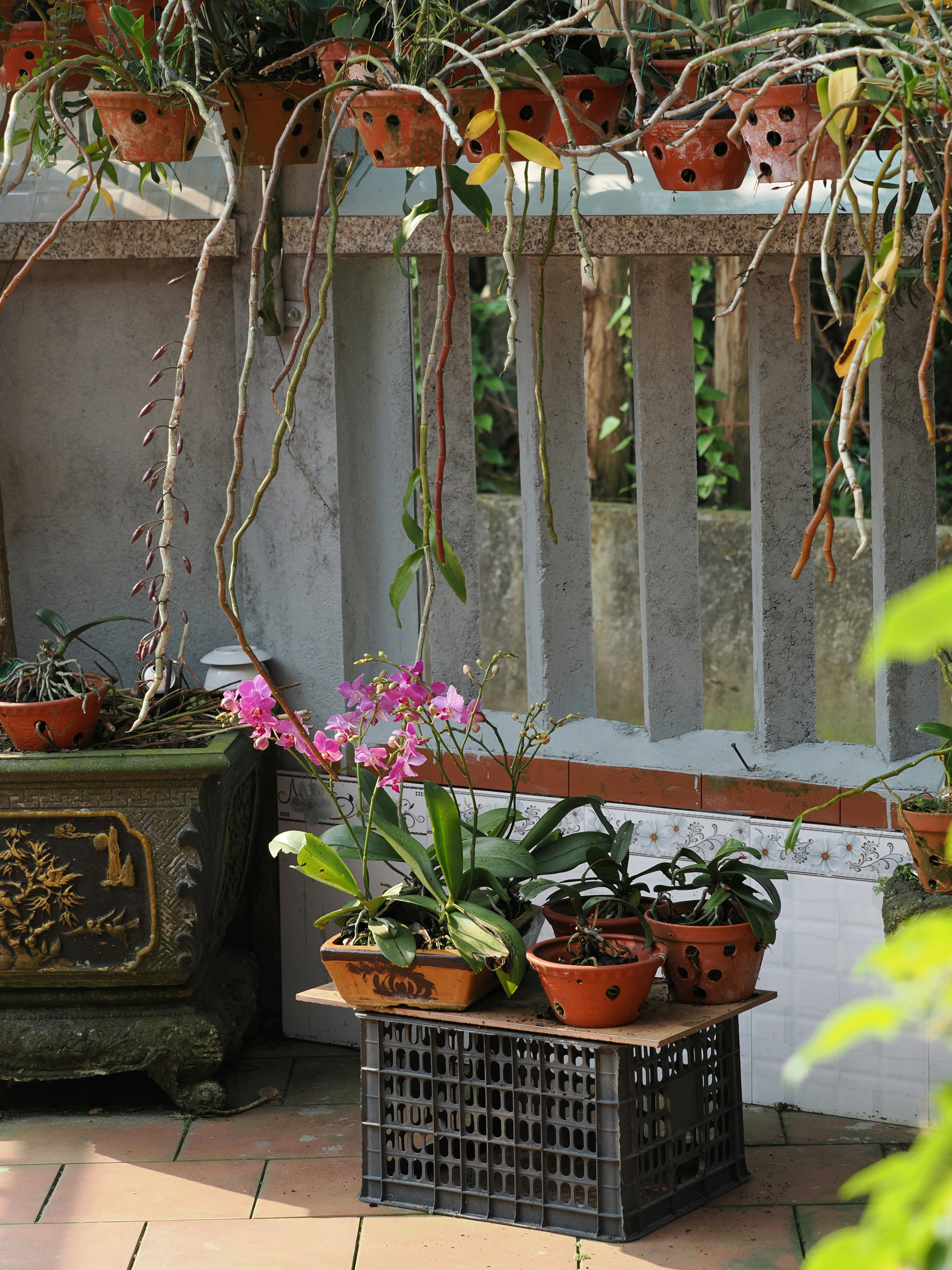 Photo by liliantruong2603