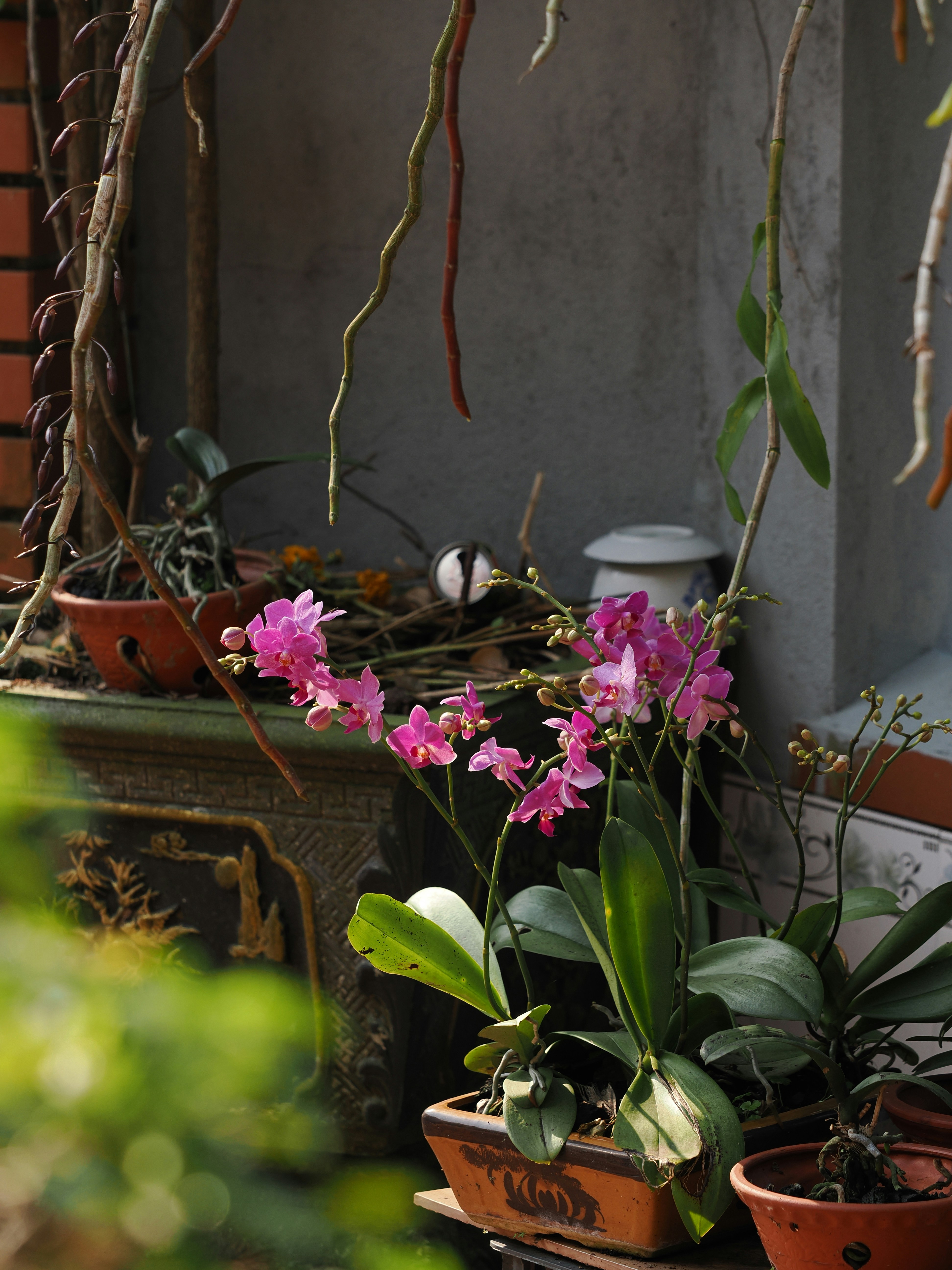 Photo by liliantruong2603