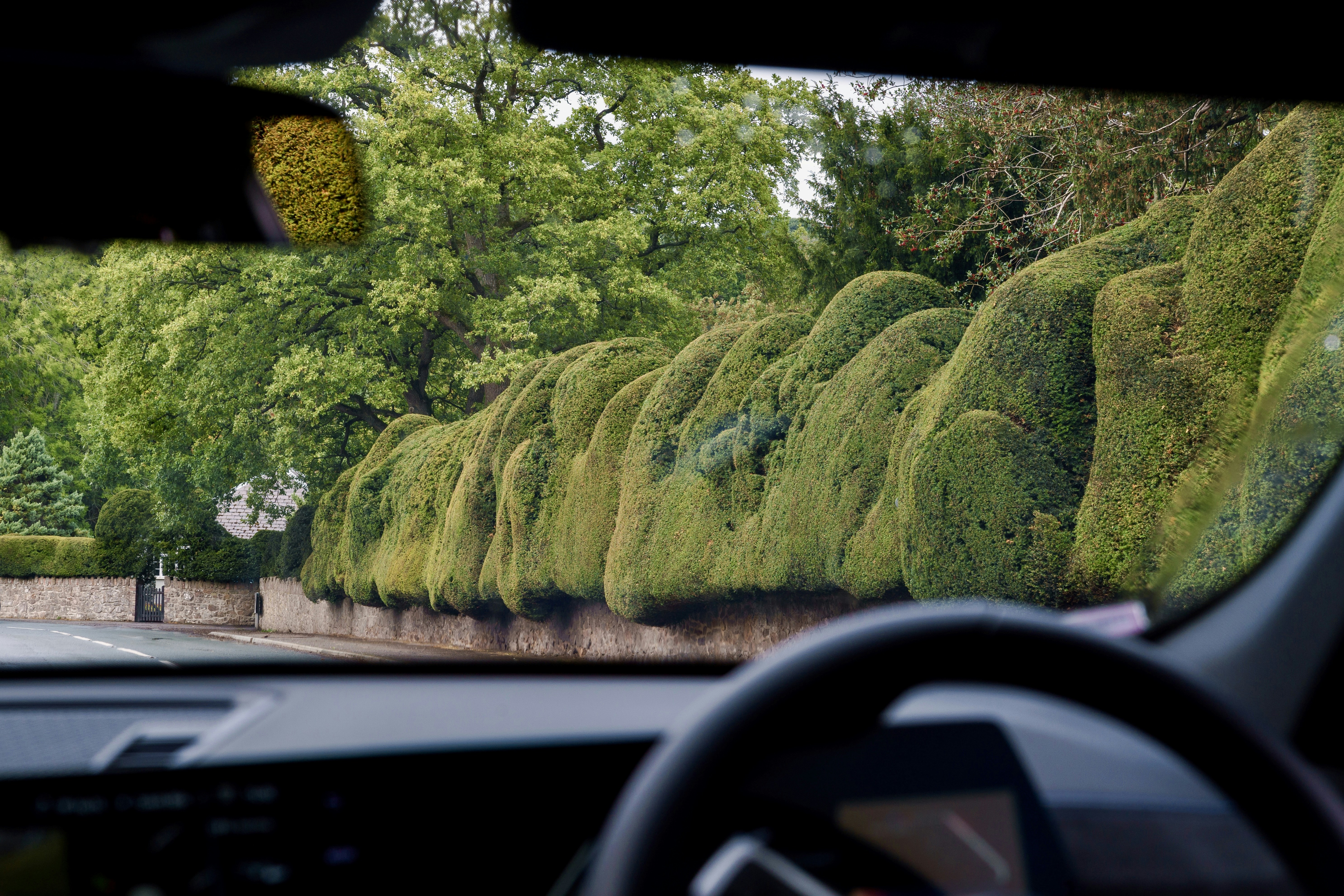 Vista de setos cuidados desde el interior de un coche.