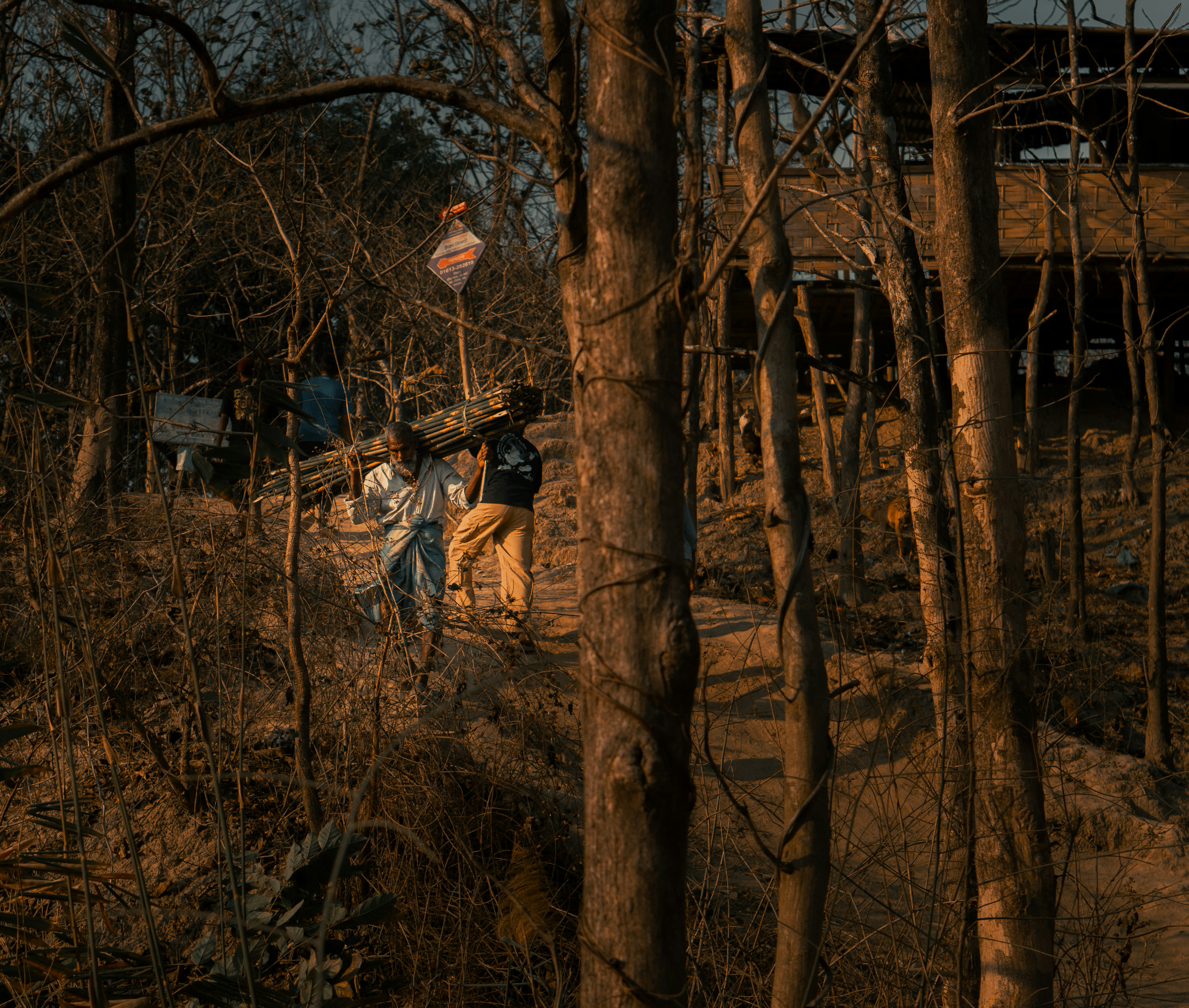 A close-up shot of a hand holding a small model house with a forest background, symbolizing the challenge of building homes in forest areas.