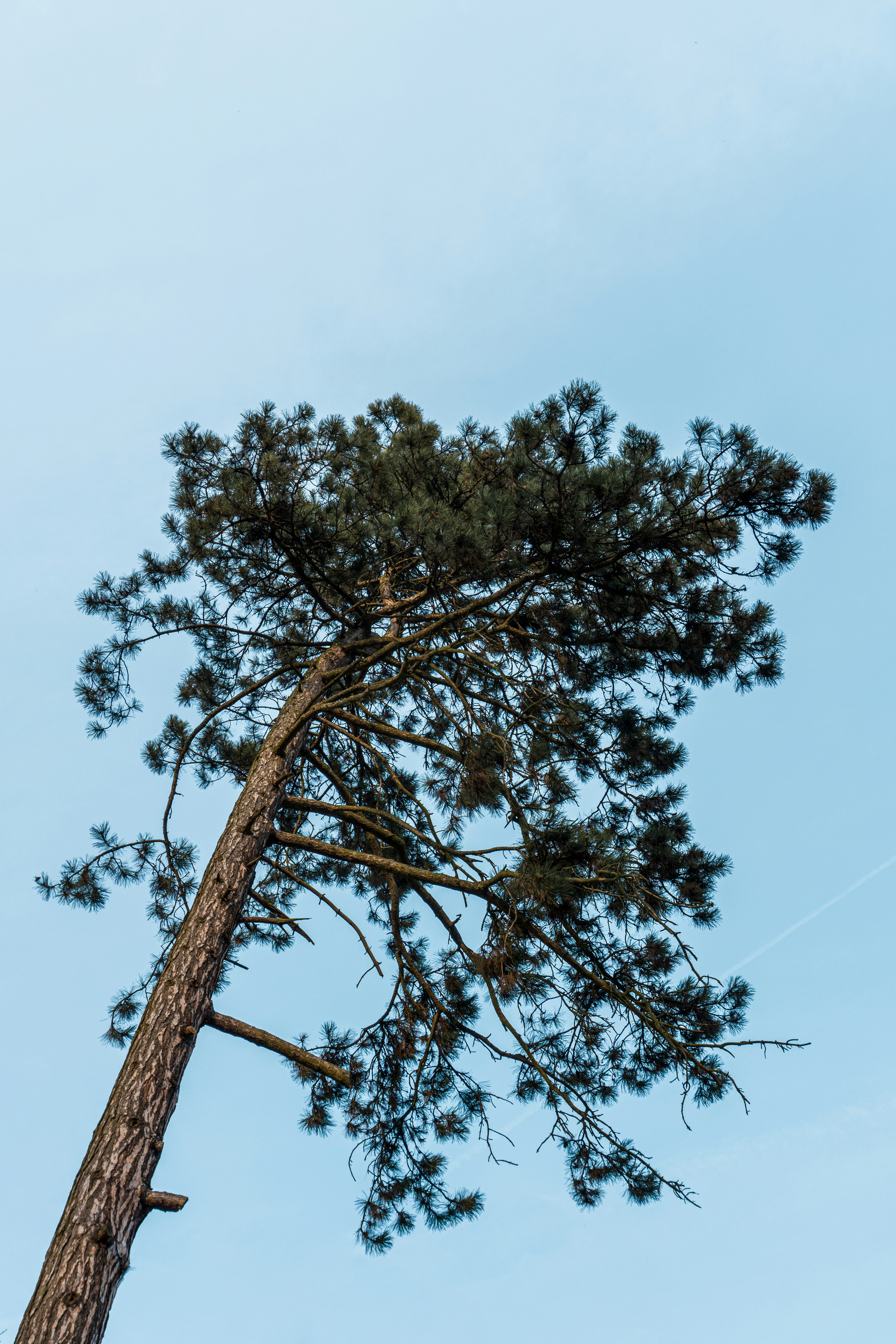 Photo by aliona_zahrai