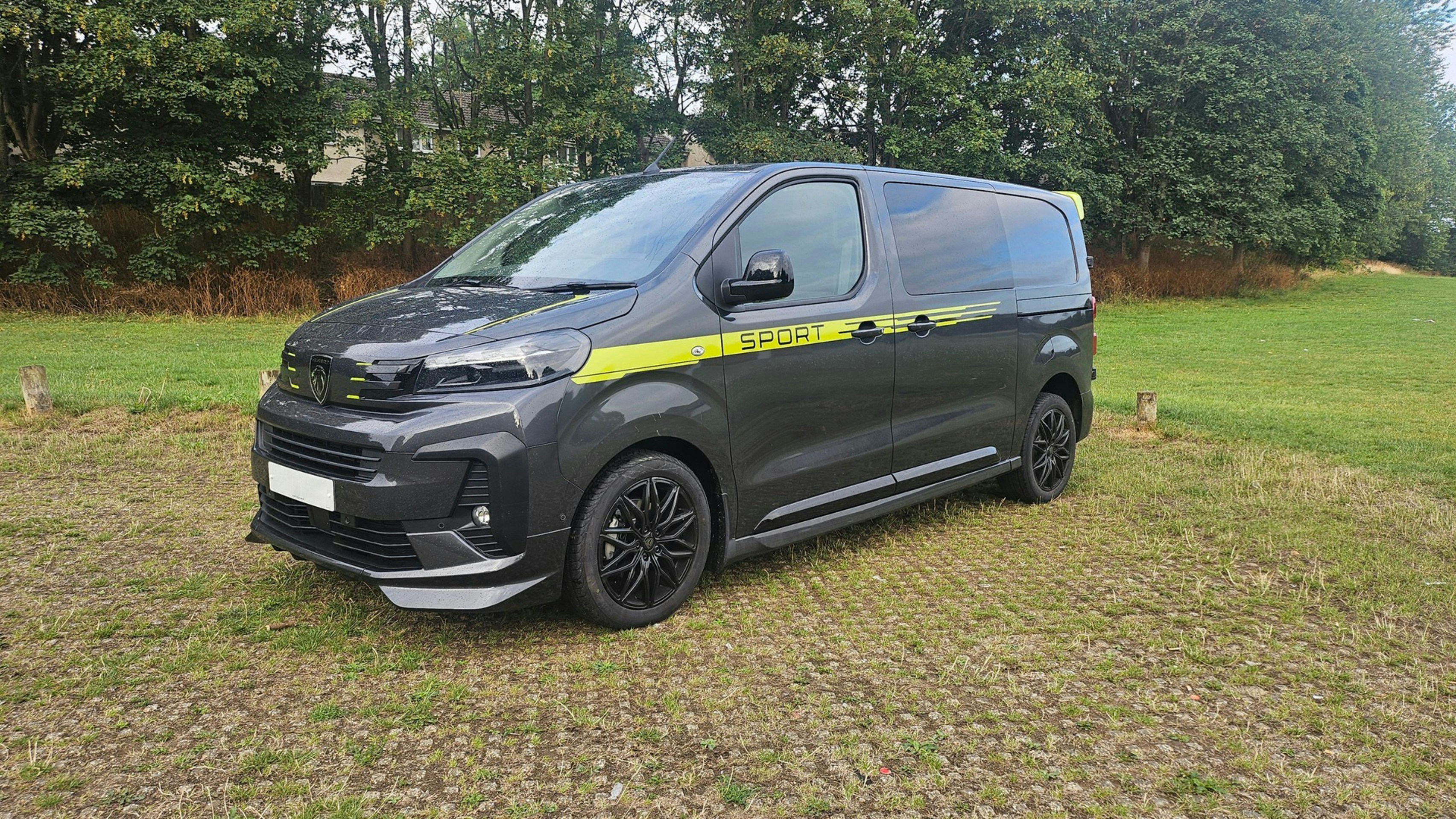 Van escura com listra amarela estacionada na grama.