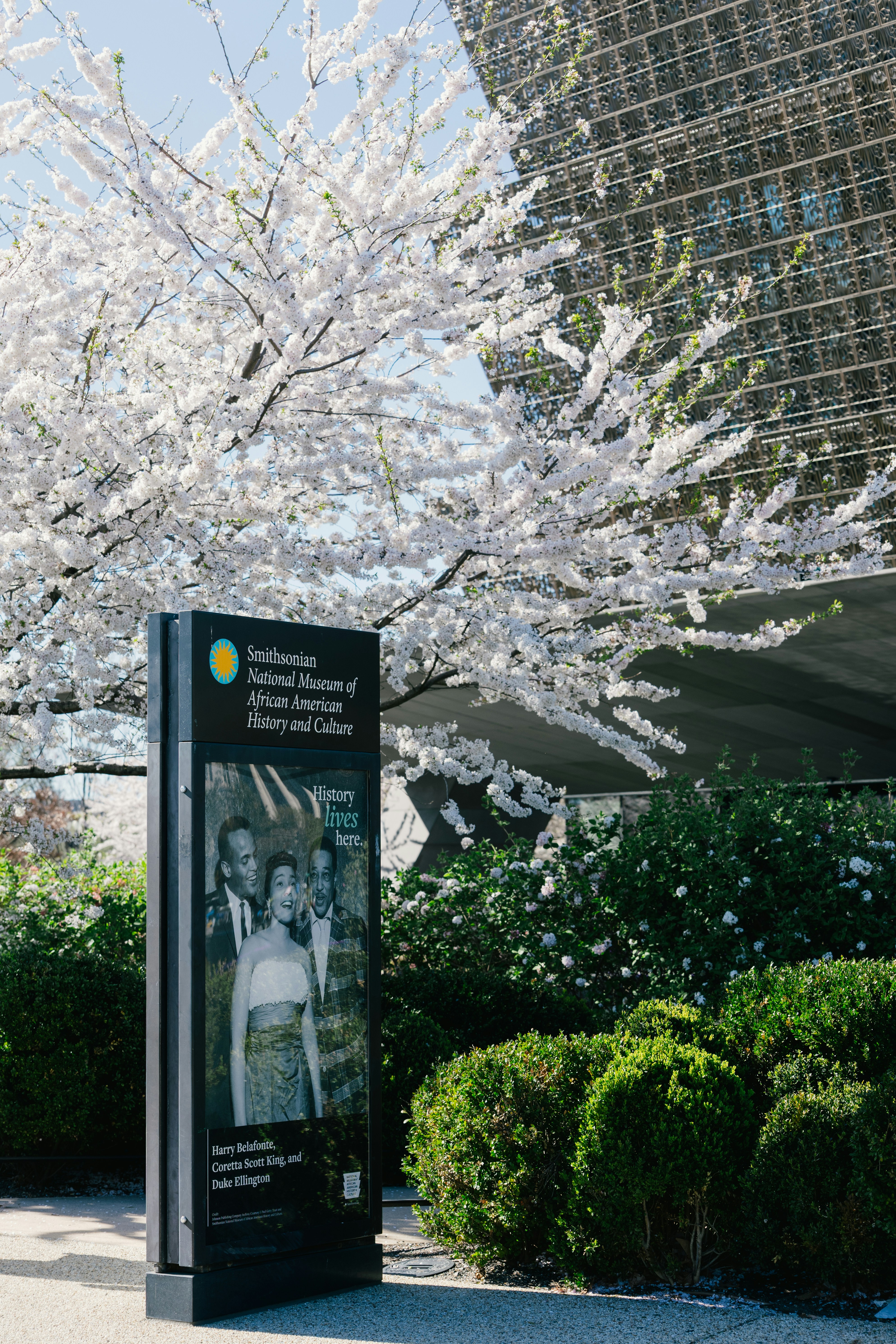 Smithsonian national museum of african american history and culture sign