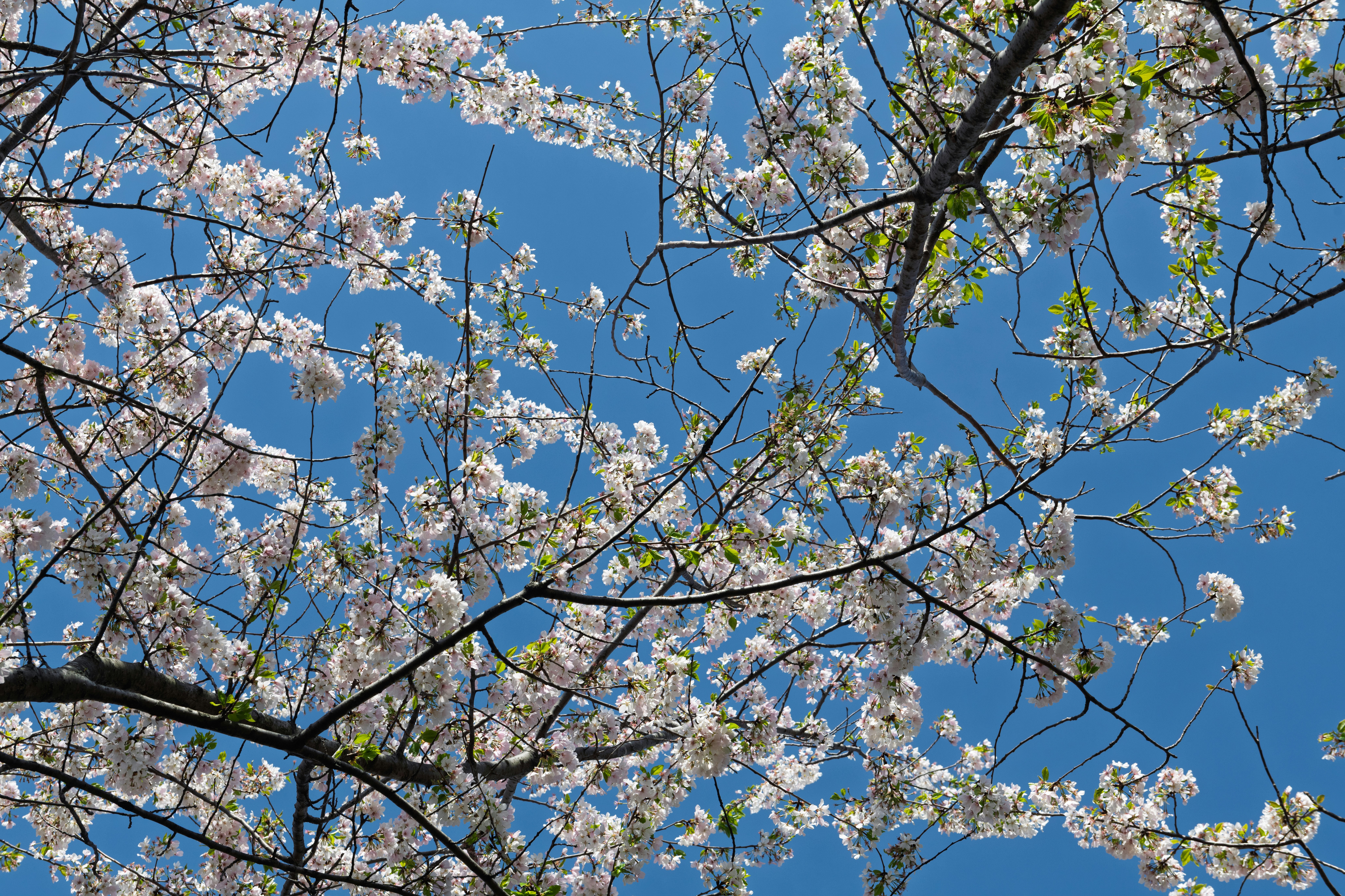 Photo by sriniunsplash
