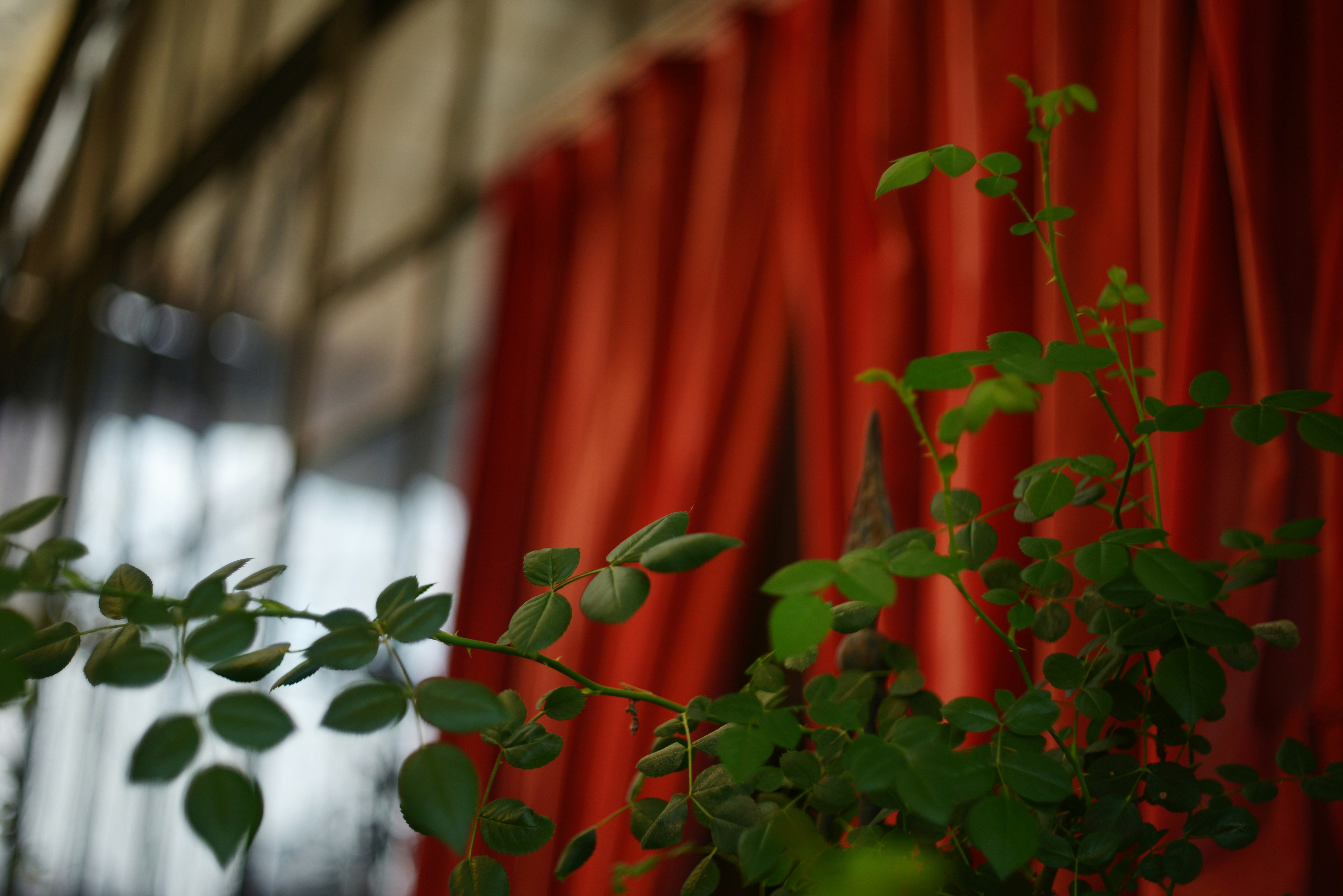 Photo by cherstve_pechivo