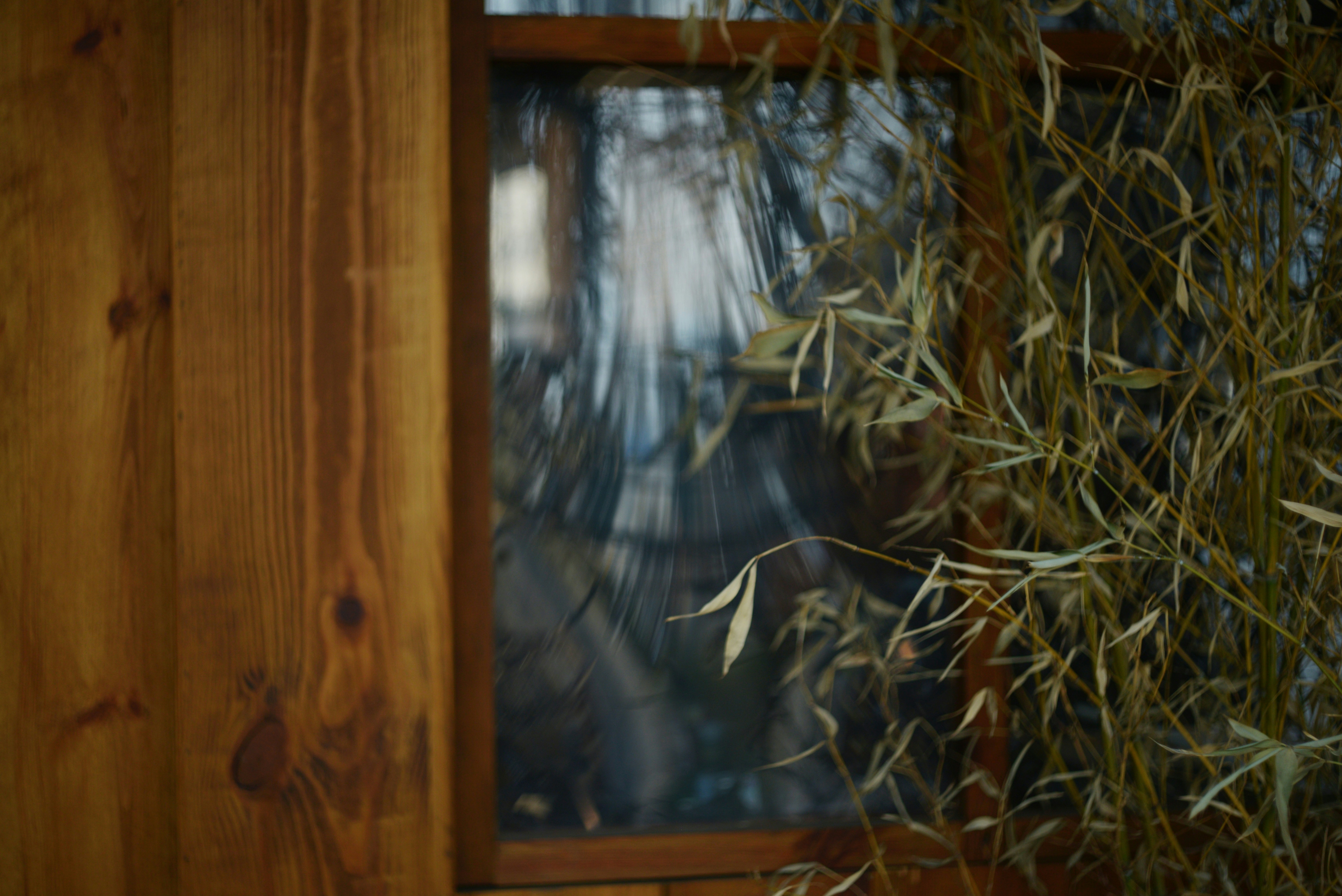 Photo by cherstve_pechivo