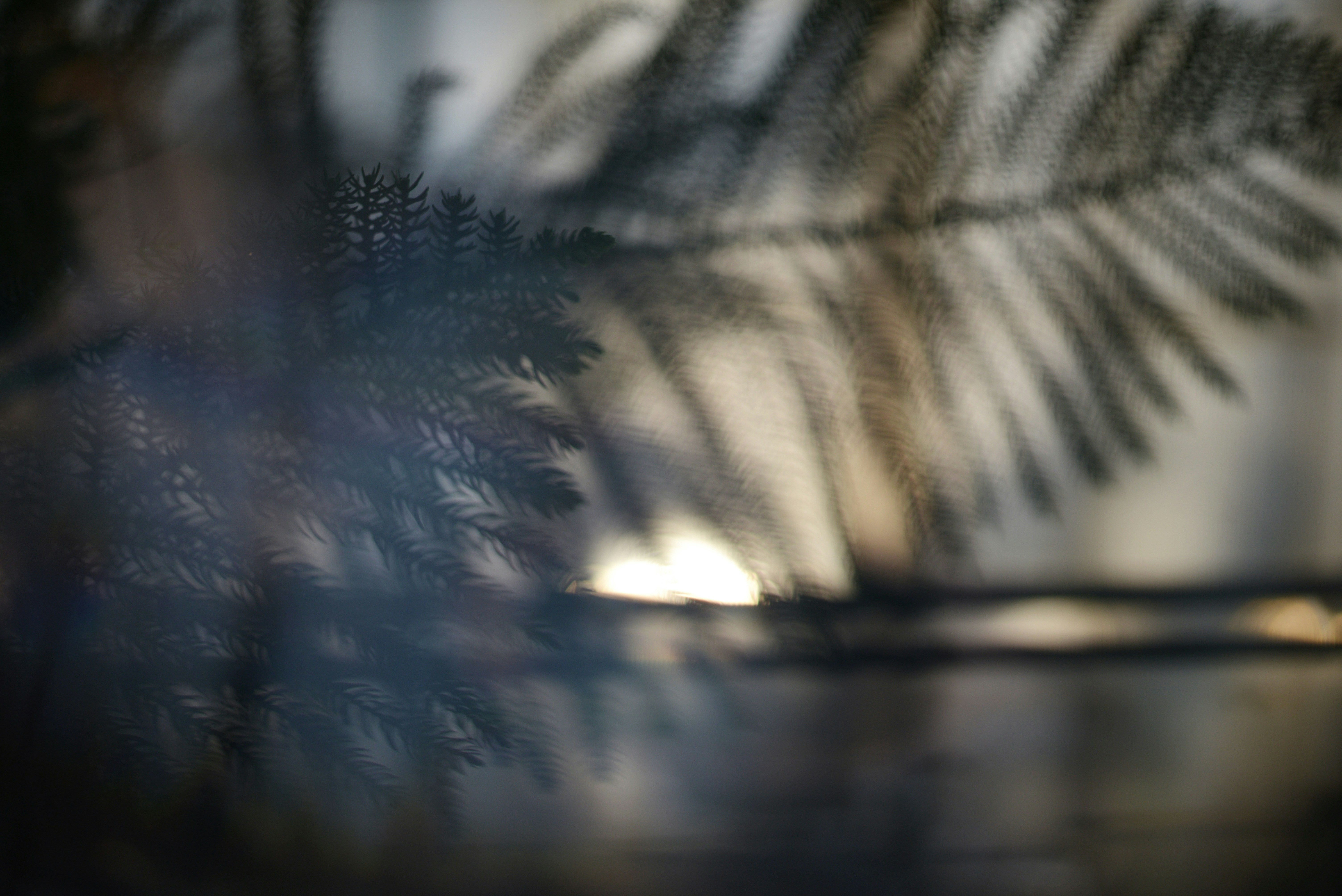 Photo by cherstve_pechivo