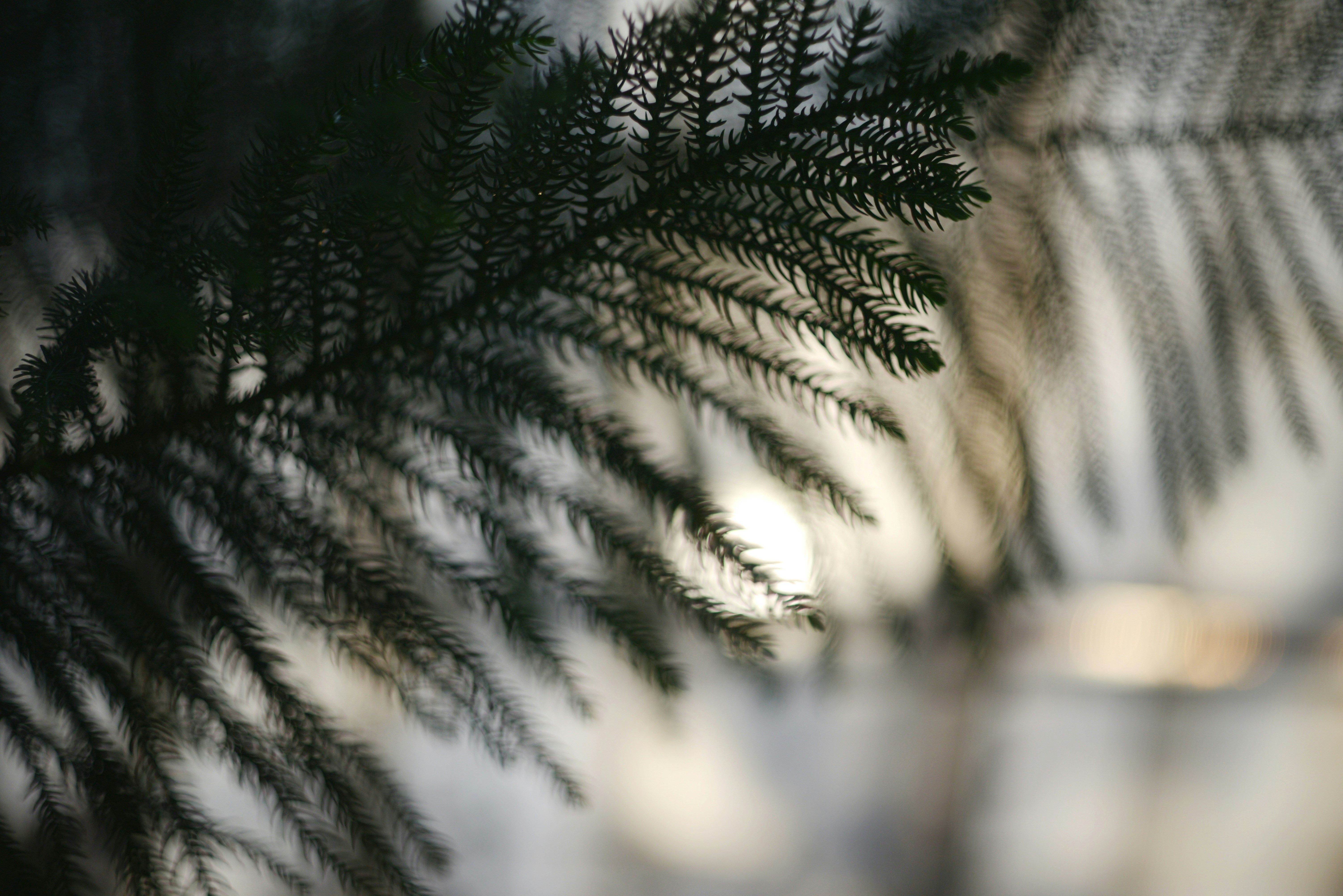 Photo by cherstve_pechivo