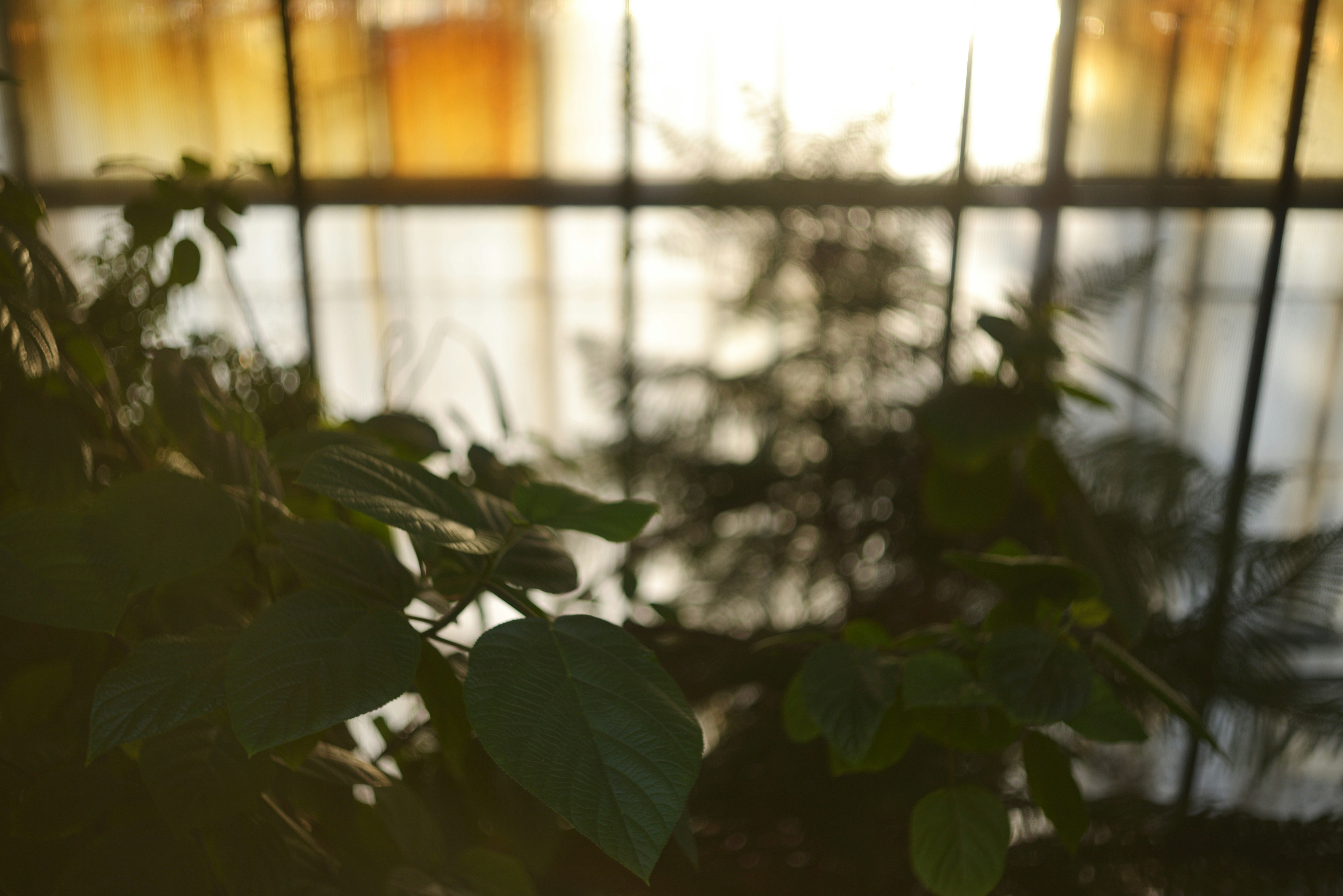 Photo by cherstve_pechivo