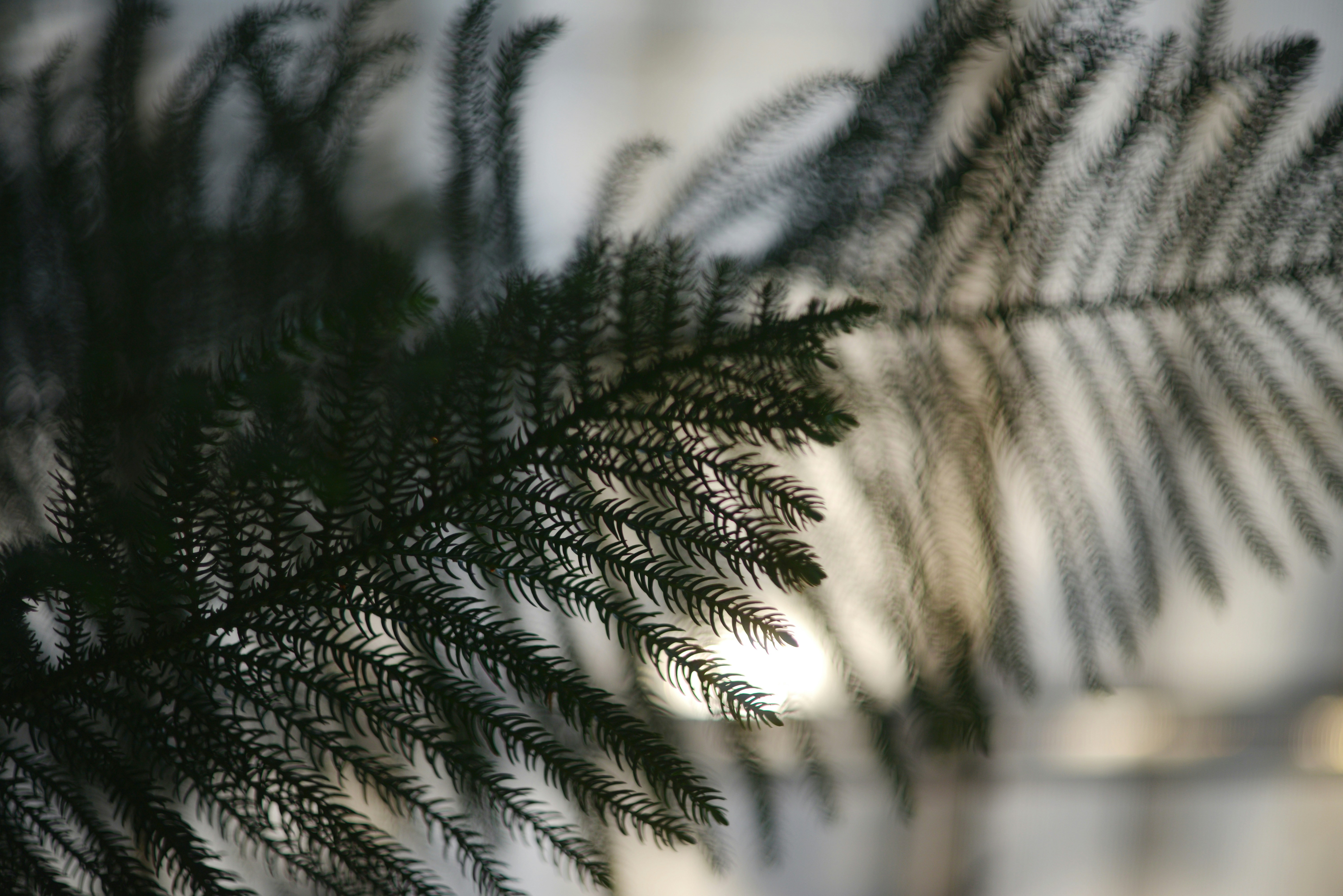 Photo by cherstve_pechivo