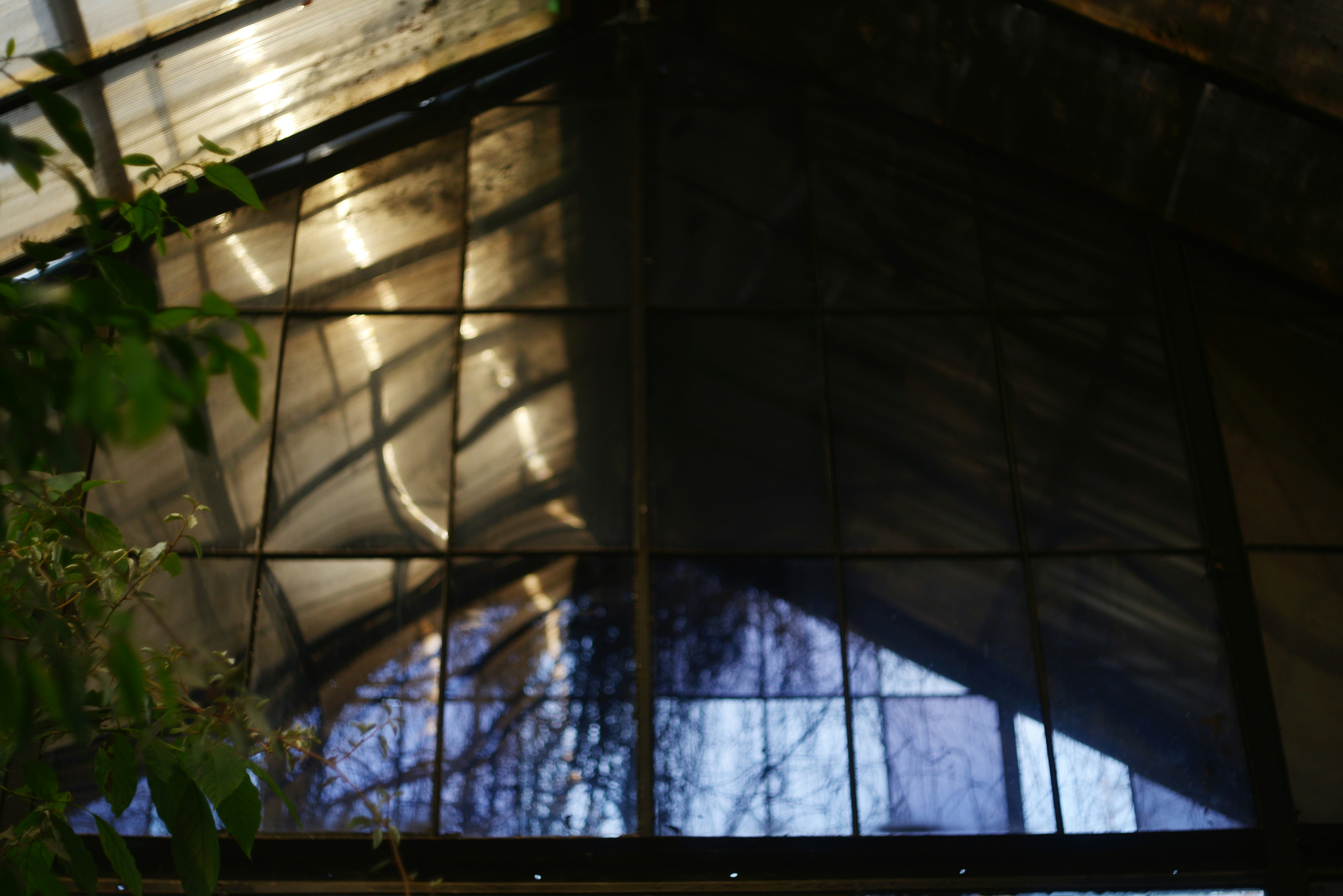 Photo by cherstve_pechivo