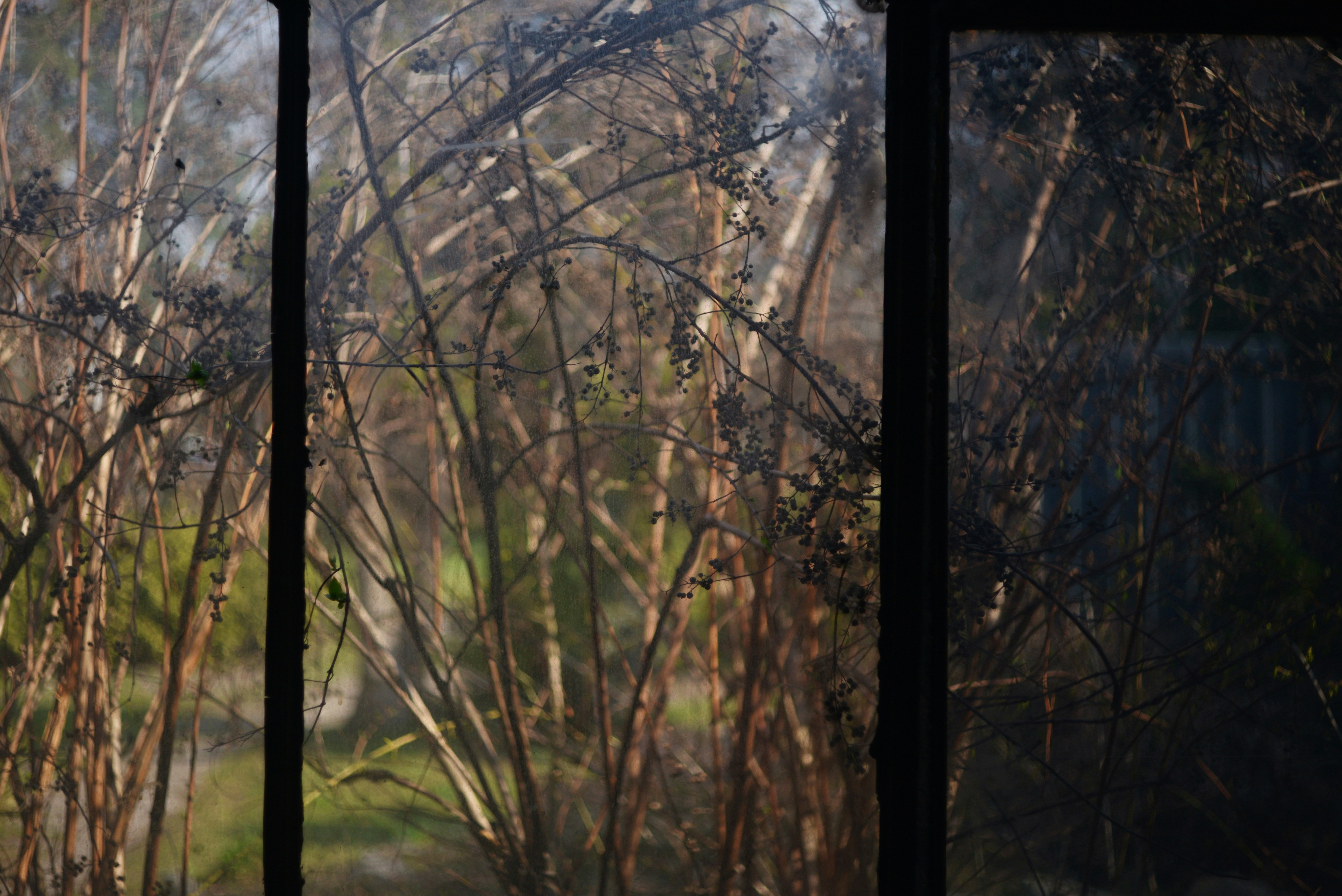 Photo by cherstve_pechivo