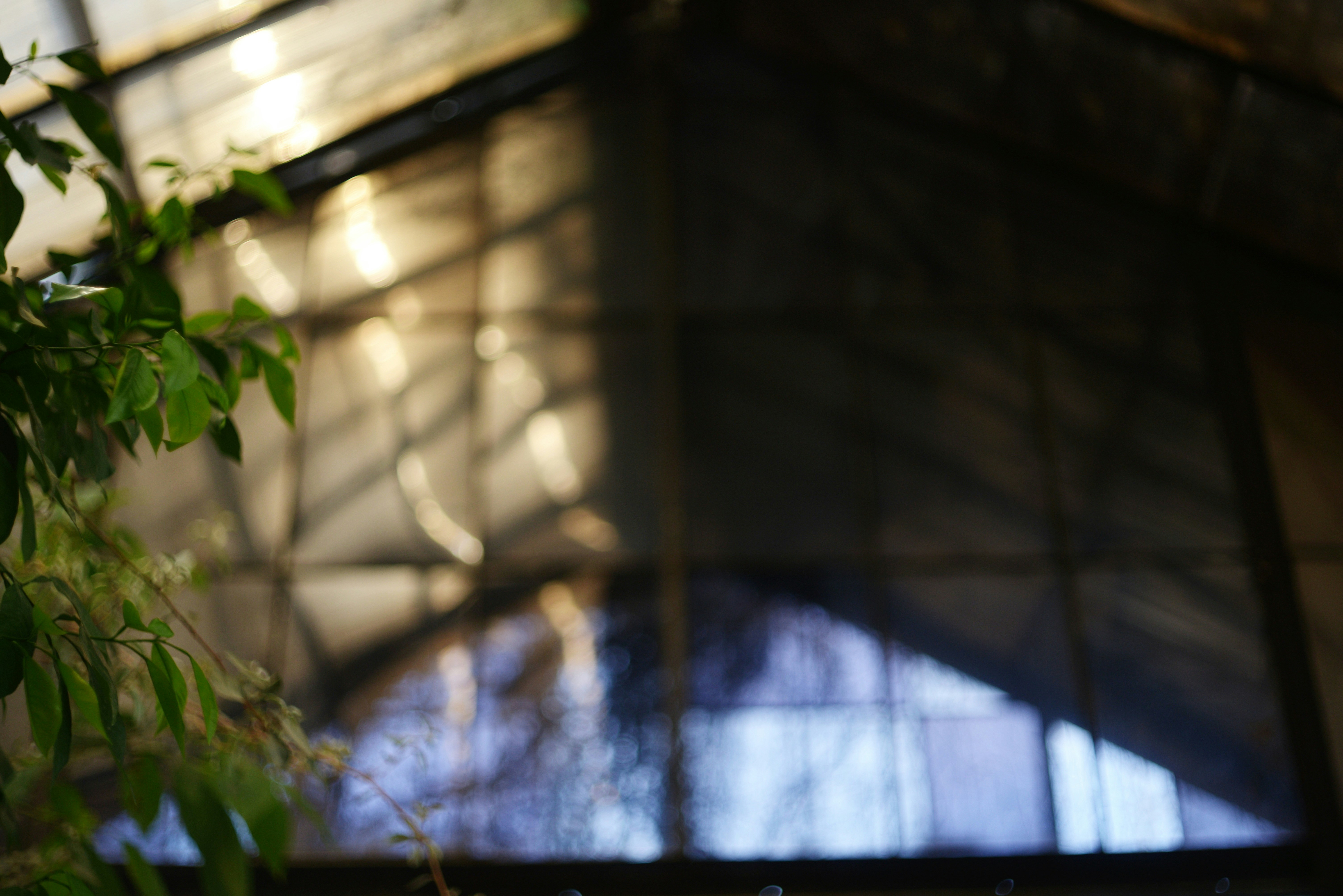 Photo by cherstve_pechivo