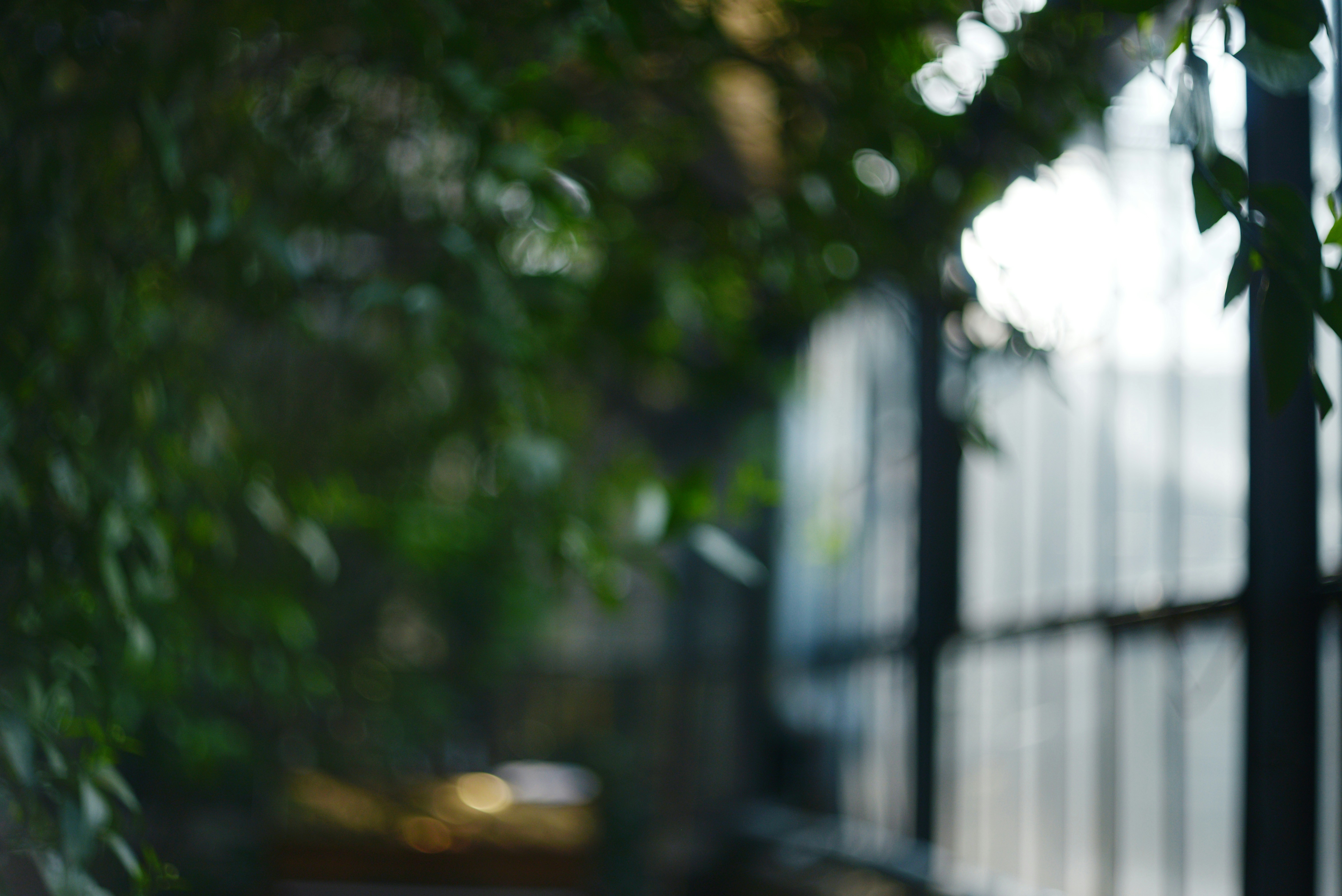 Photo by cherstve_pechivo