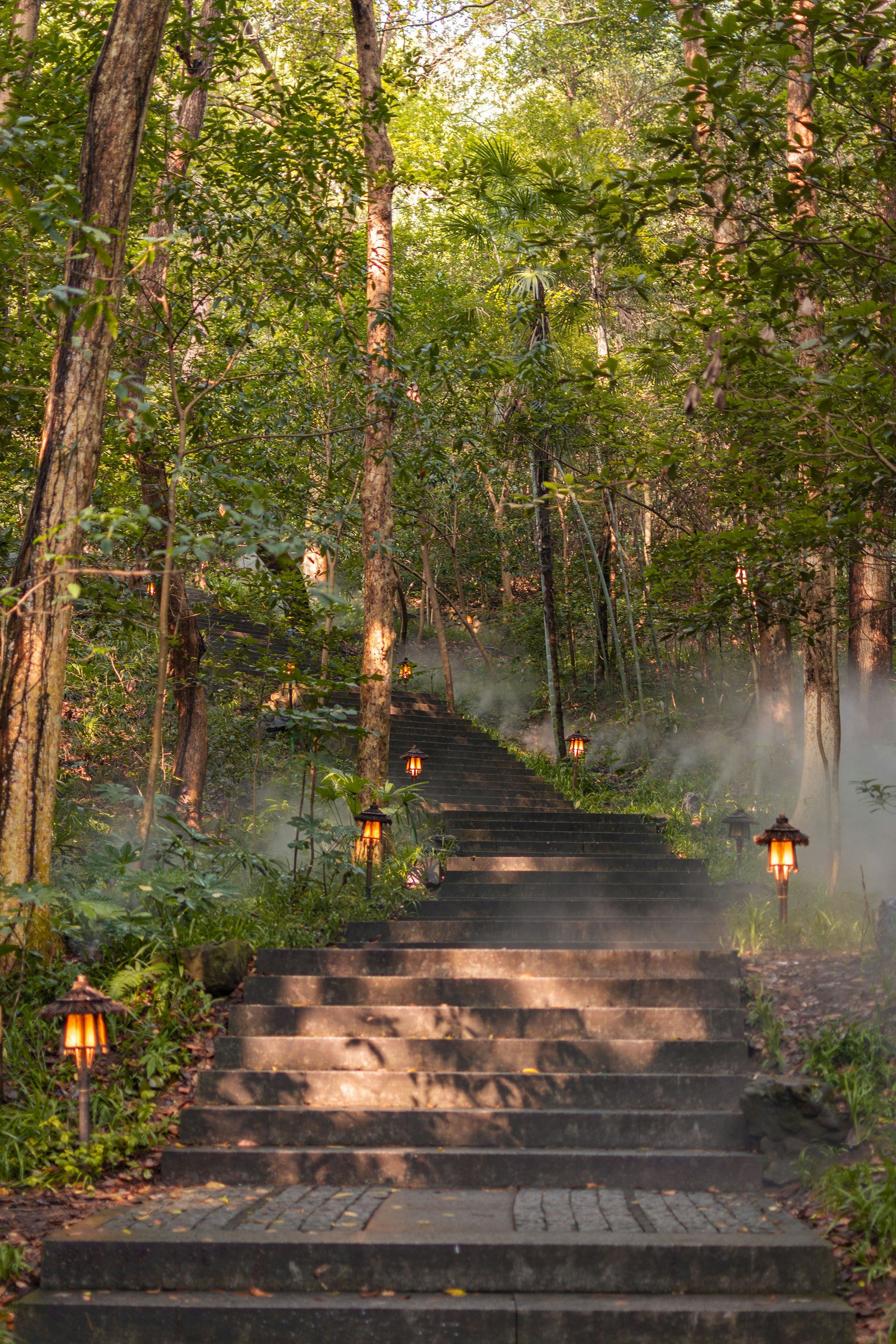 enchanted forest luxury wedding, wallpaper, Luxury Forest Wedding Bridesmaid Dresses: The Ultimate Guide 4