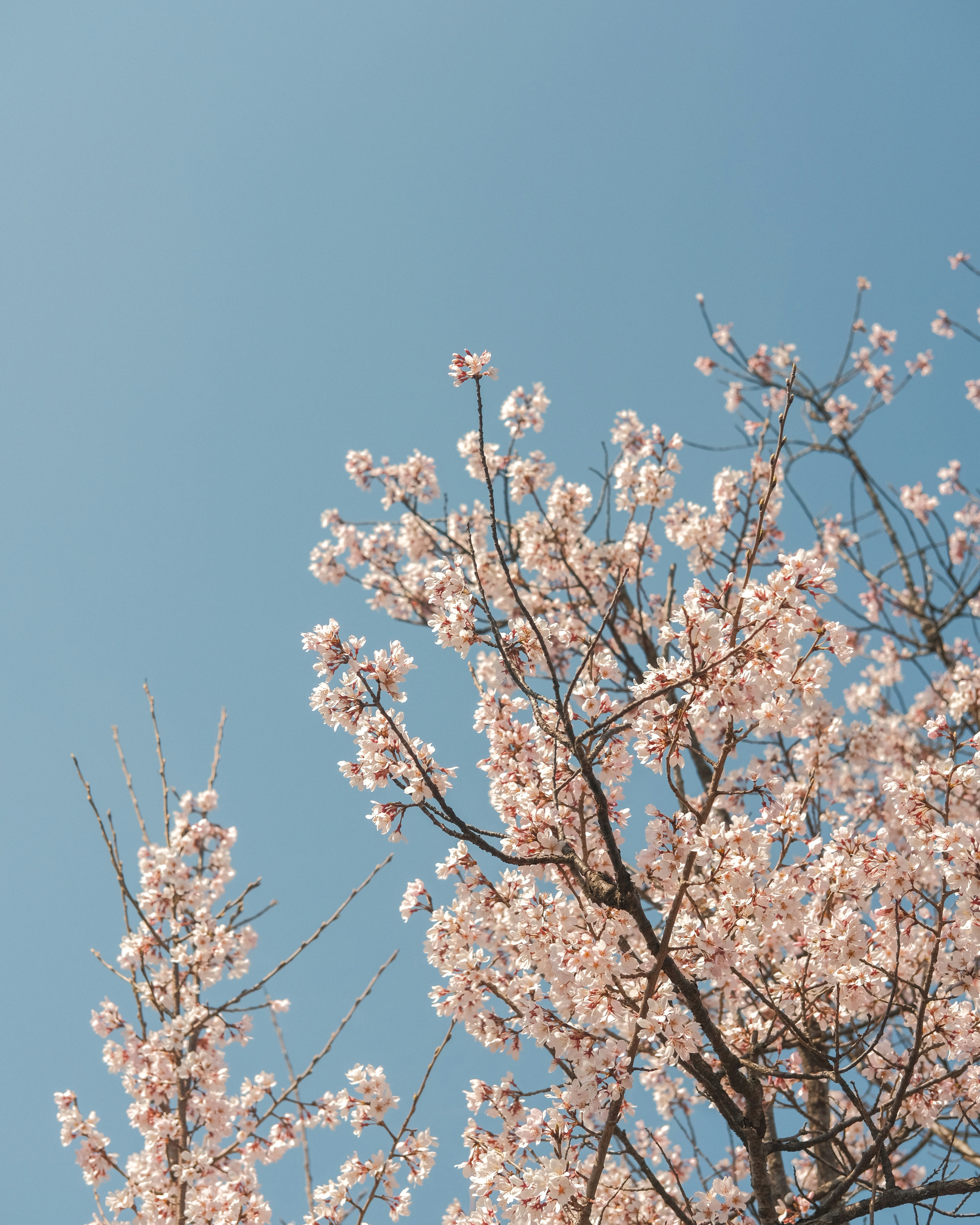 Photo by shadoweng93