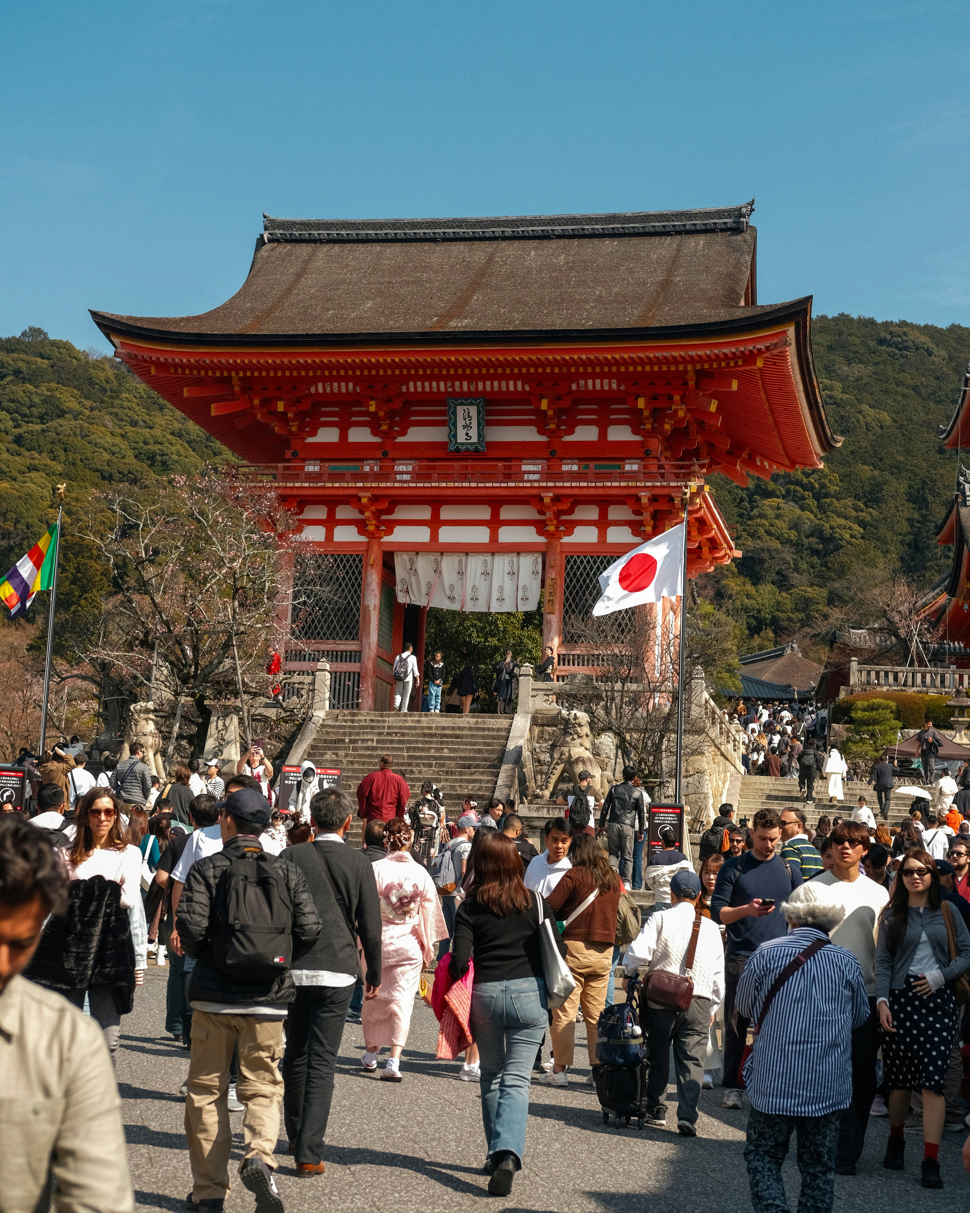 Visa-Free Entry: The 90-Day Rule and Who Qualifies
