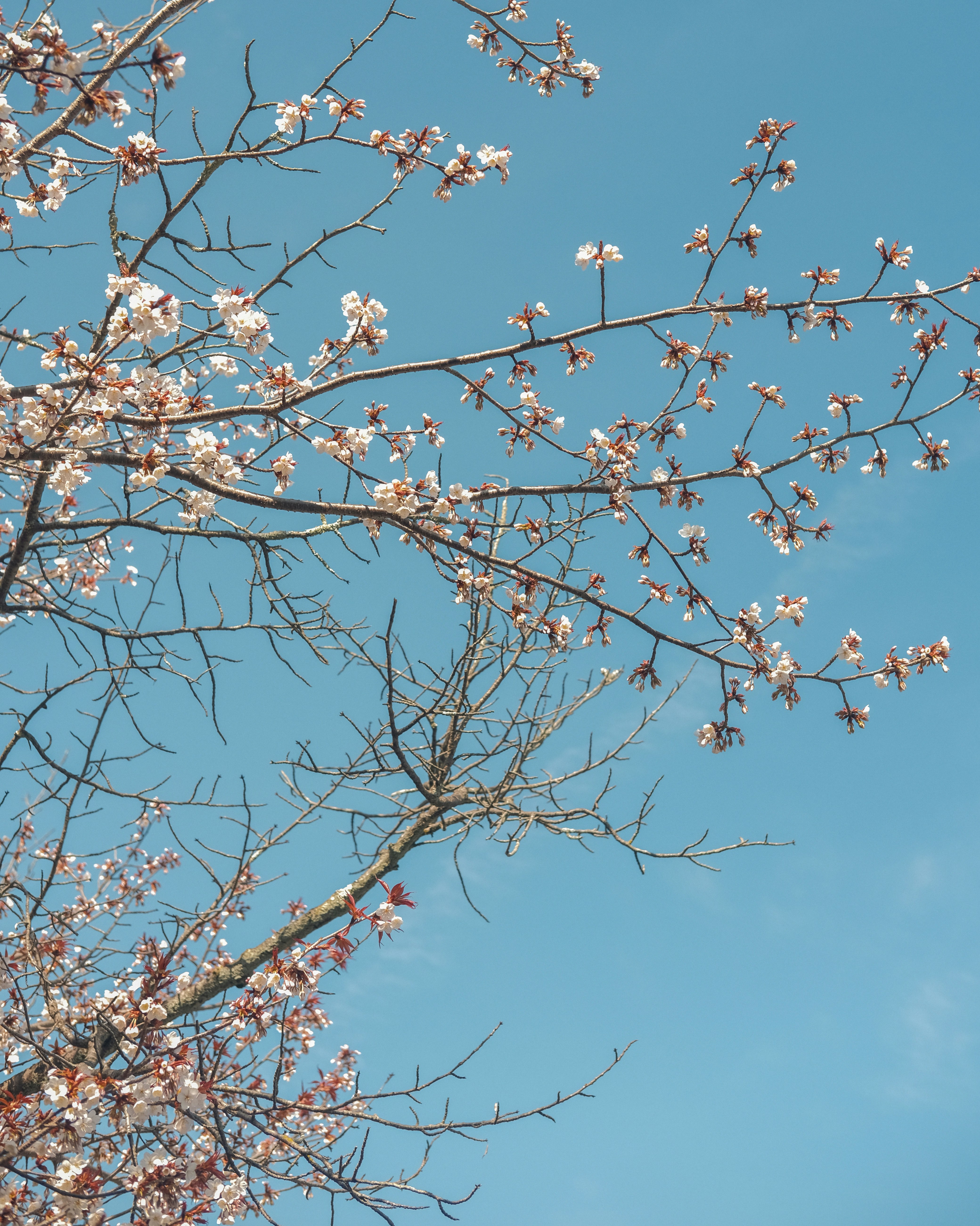 Photo by shadoweng93