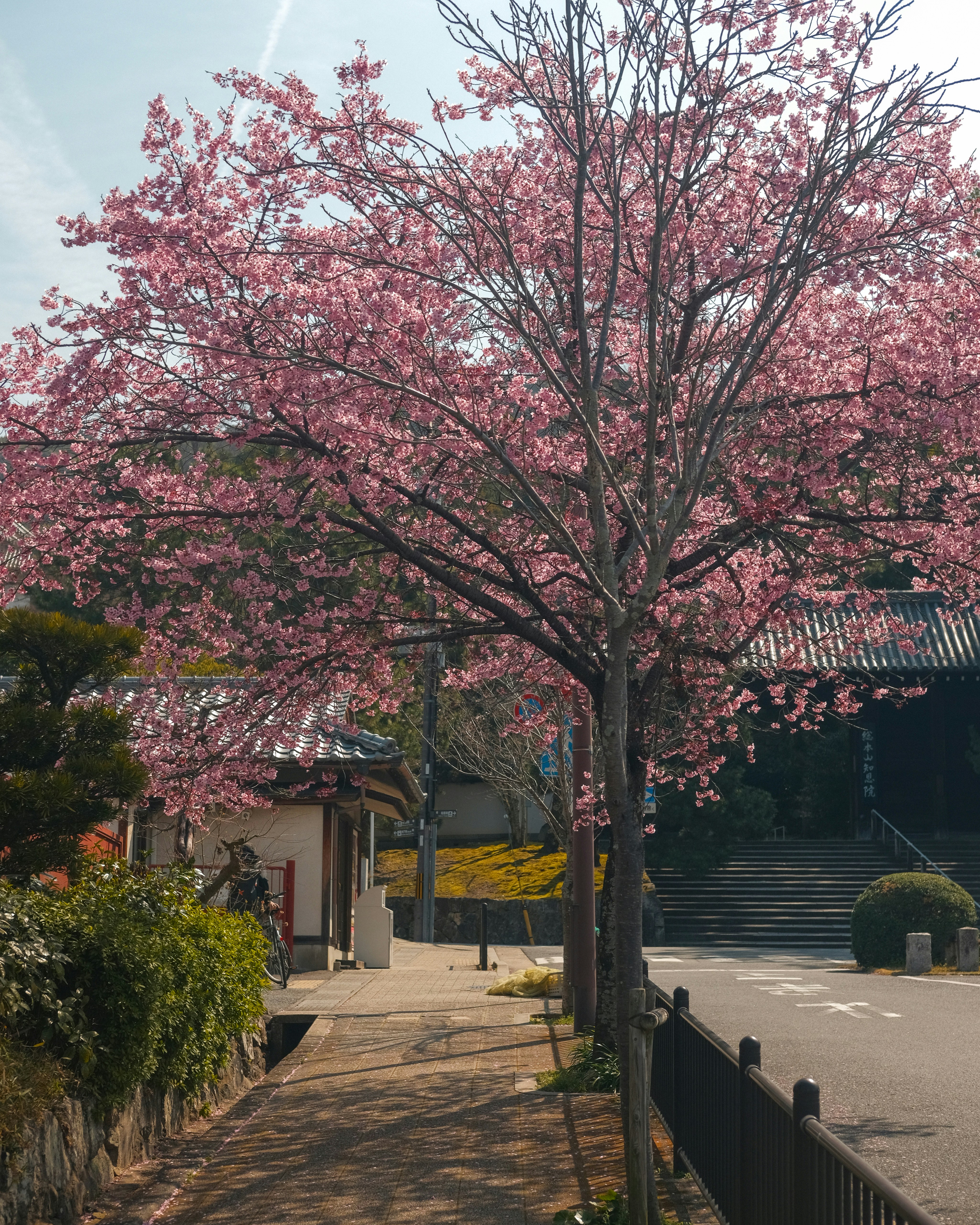 Photo by shadoweng93