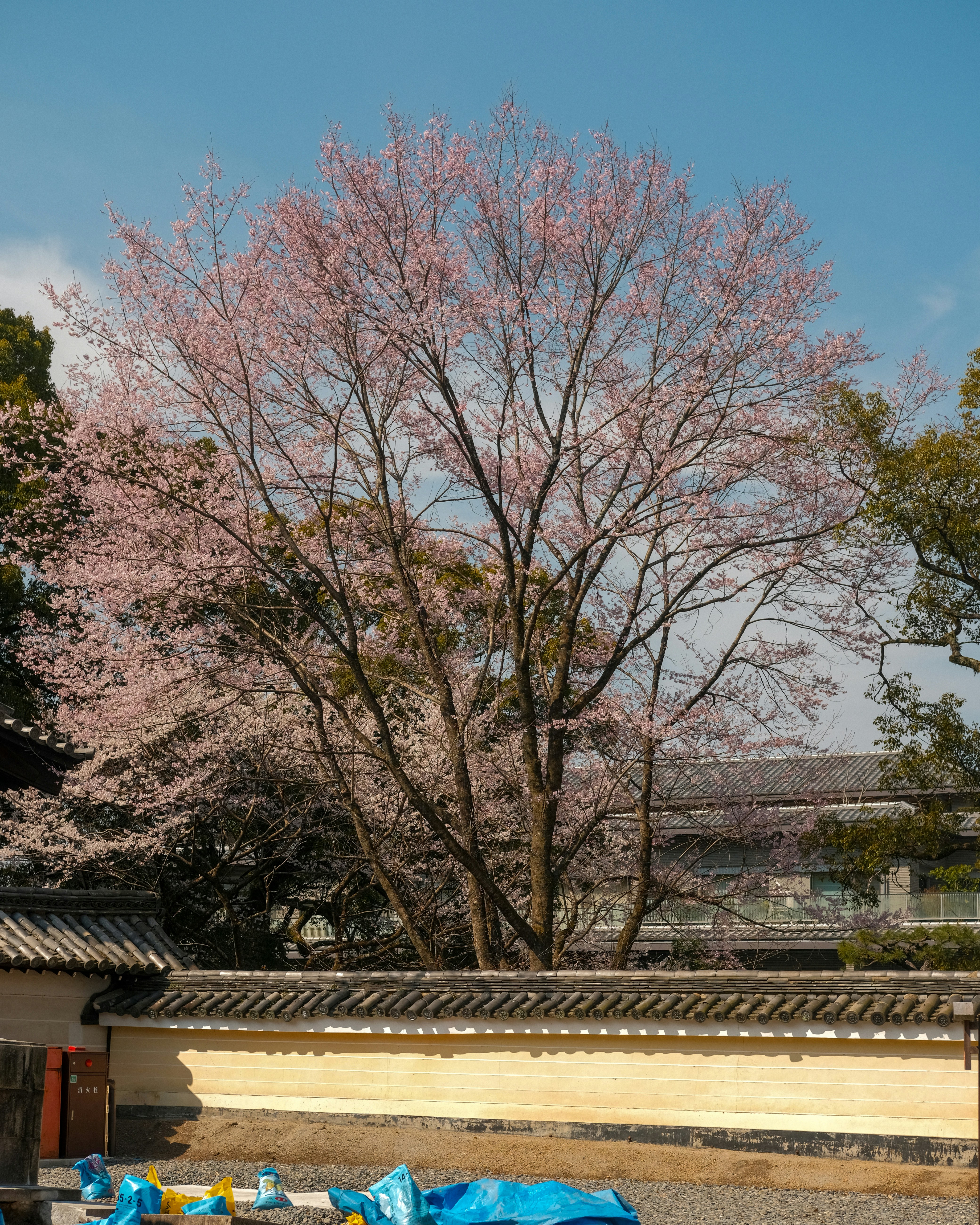 Photo by shadoweng93