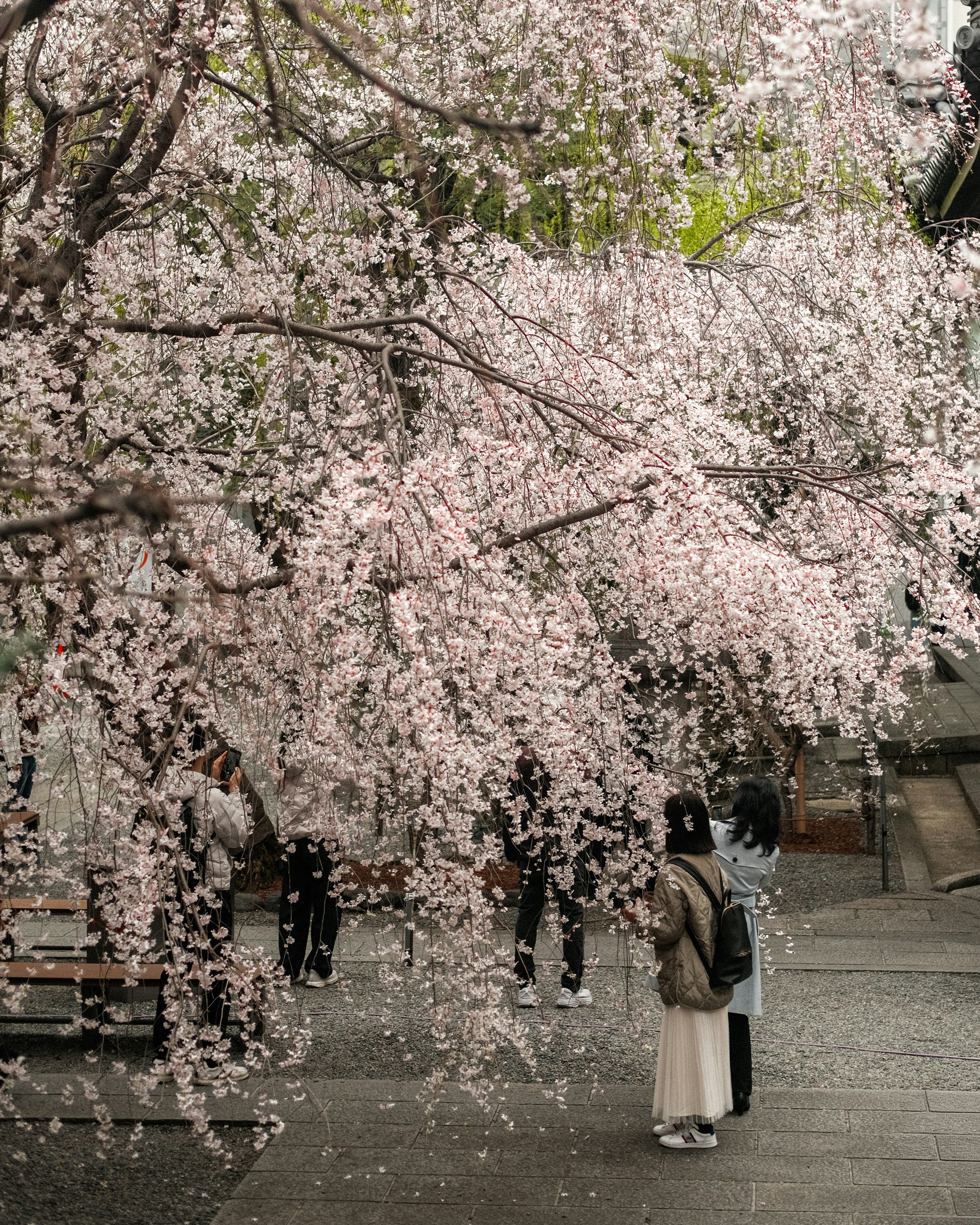 Photo by shadoweng93