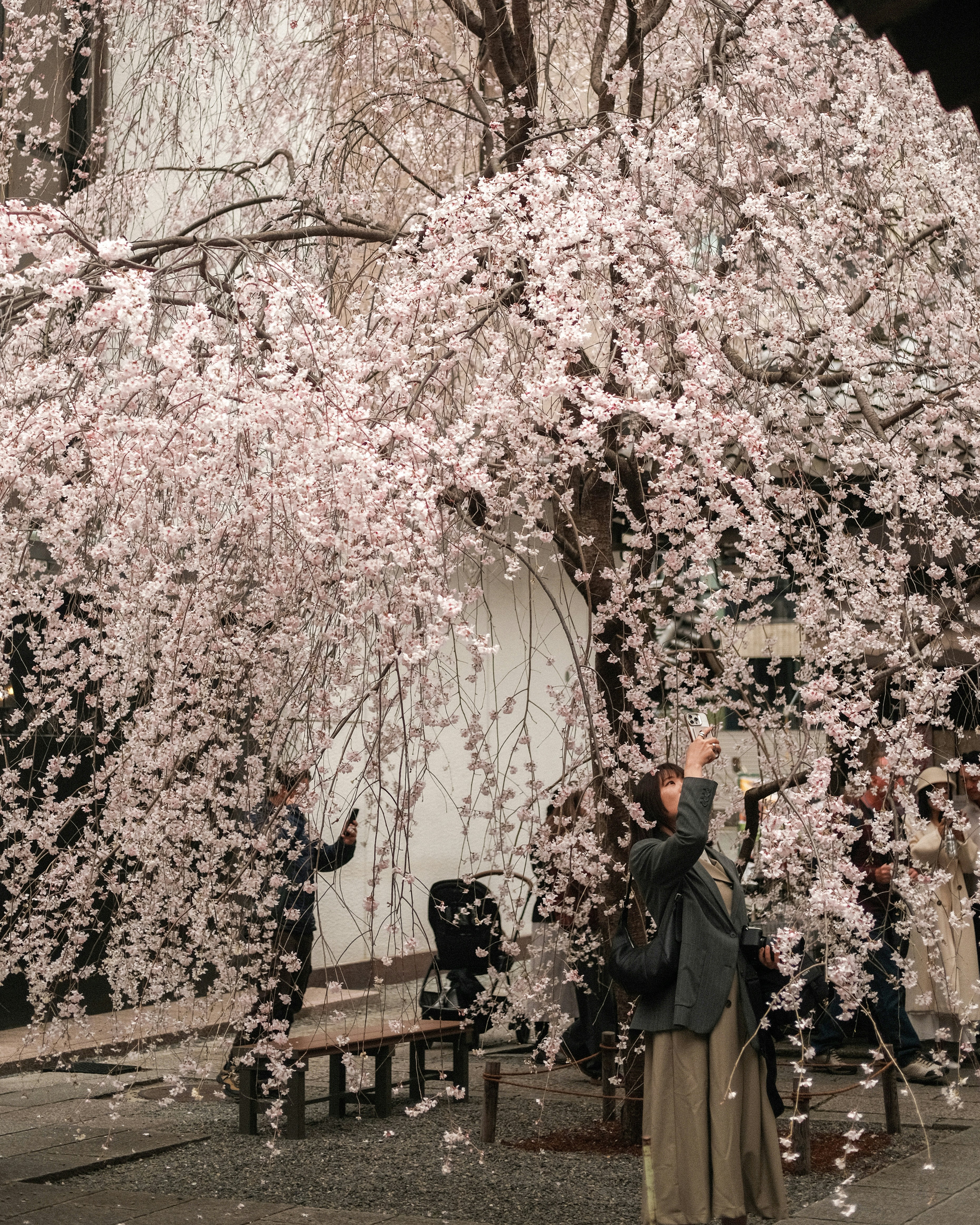 Photo by shadoweng93