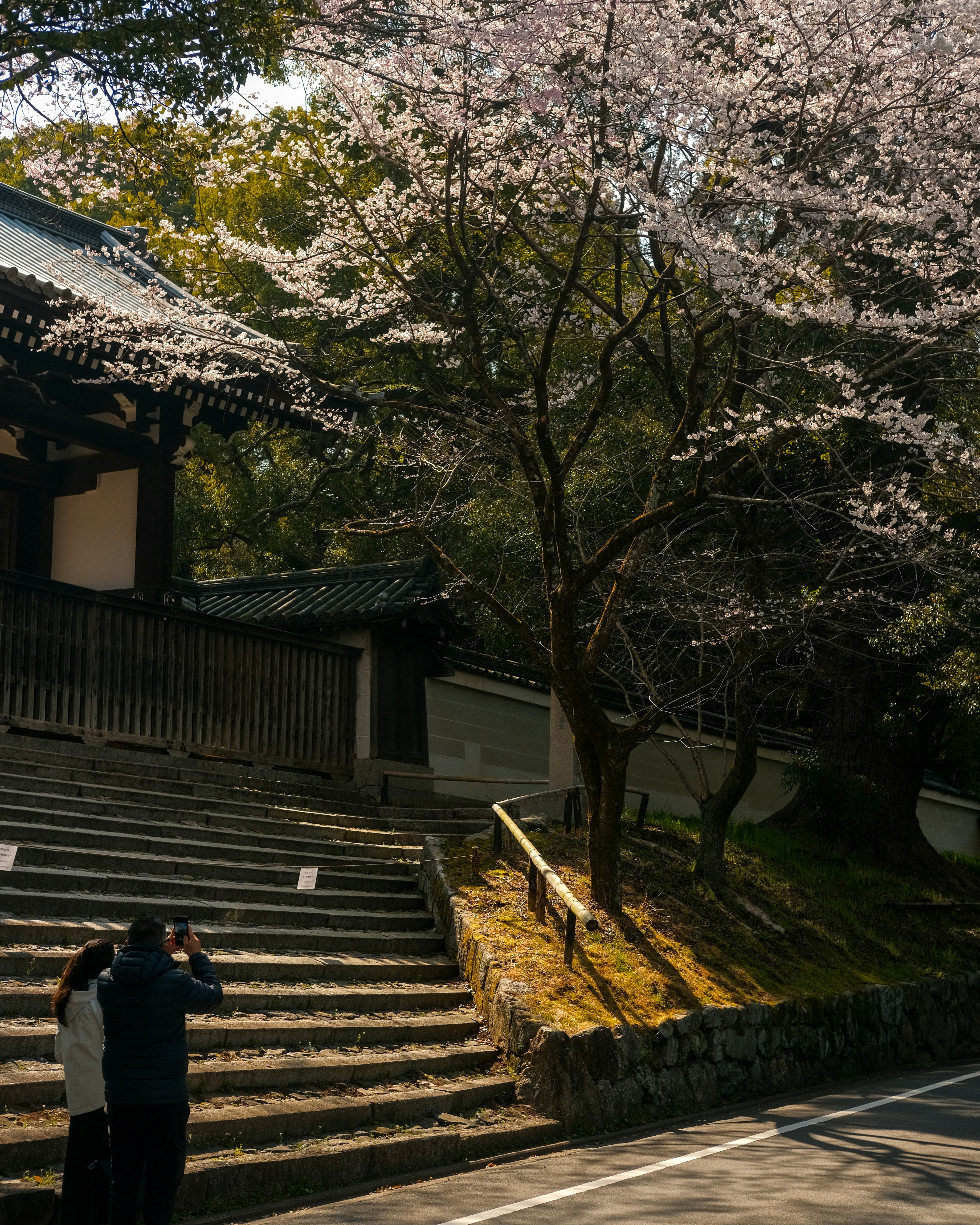 Photo by shadoweng93