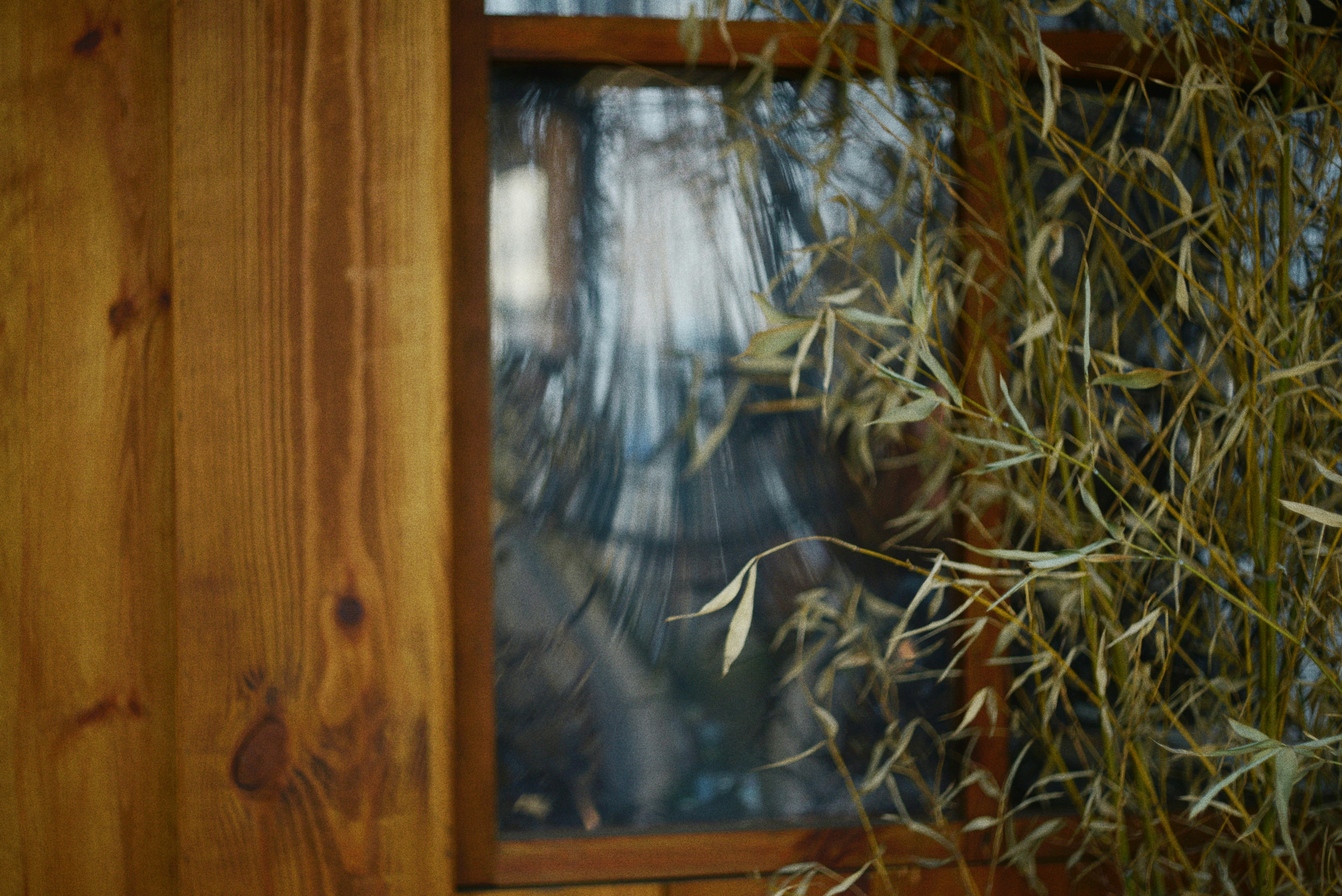 Photo by cherstve_pechivo